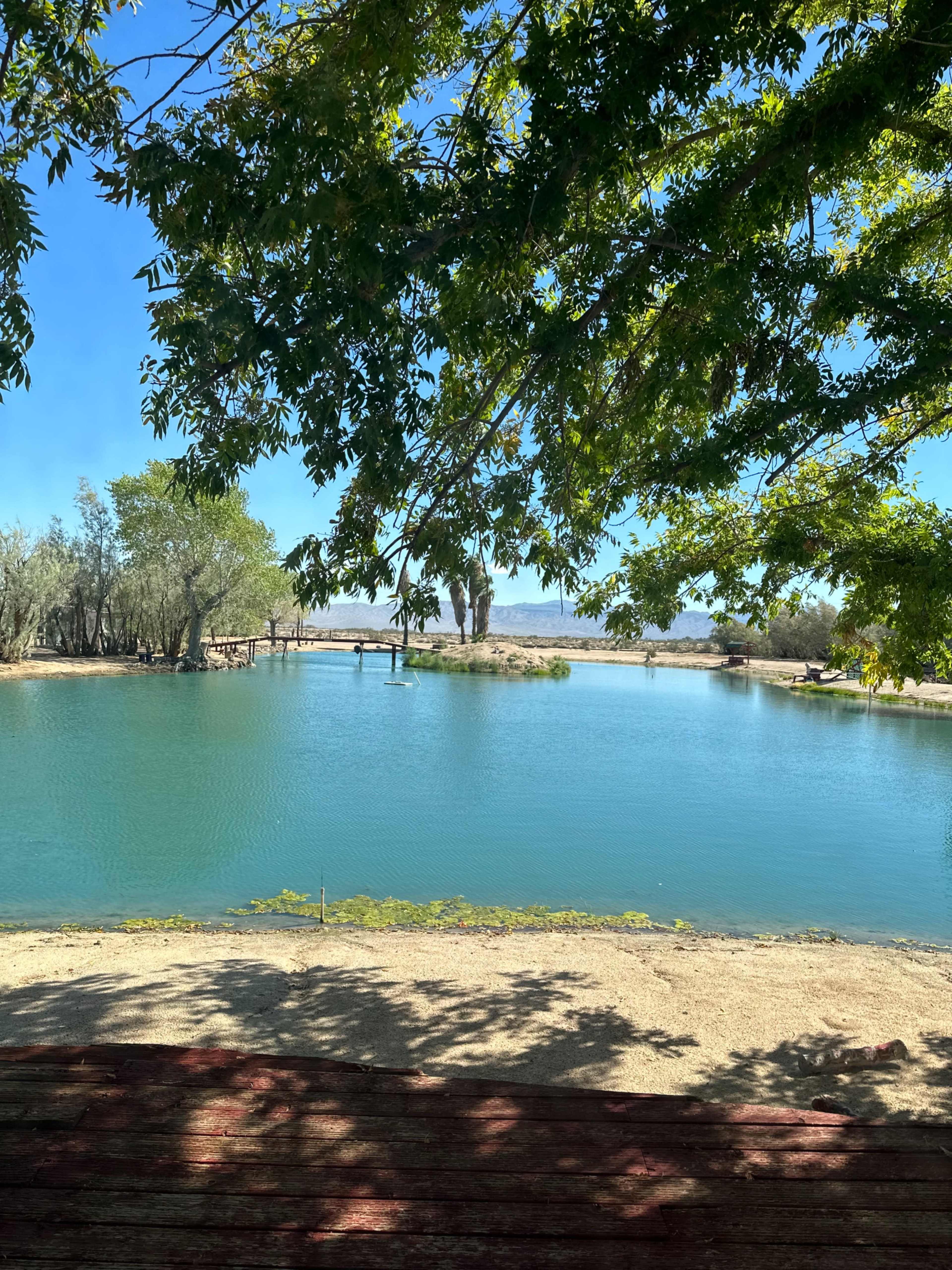 Oasis in the desert- Lake and mountain views Image in , Newberry Springs, CA