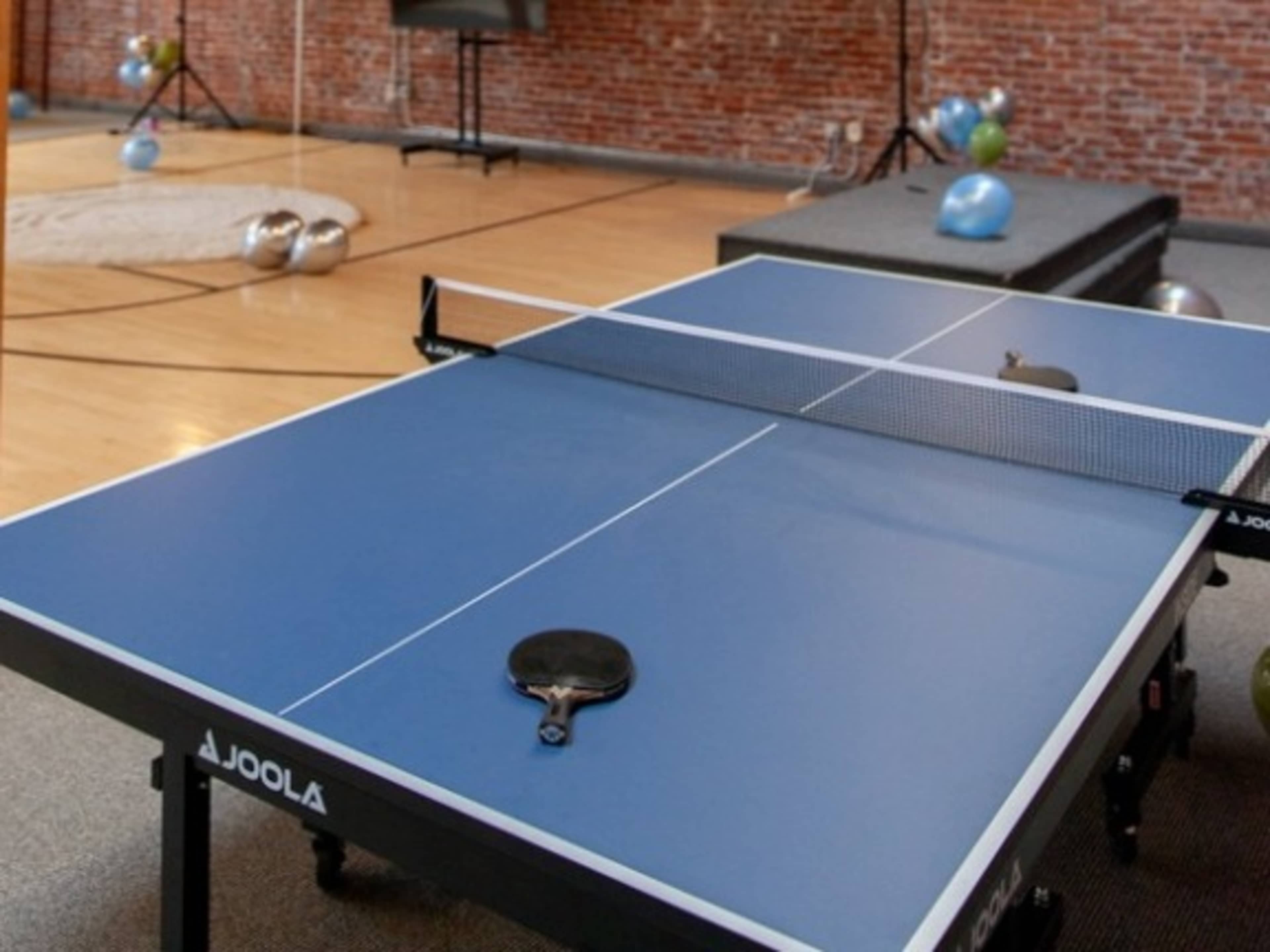 Ping Pong Table