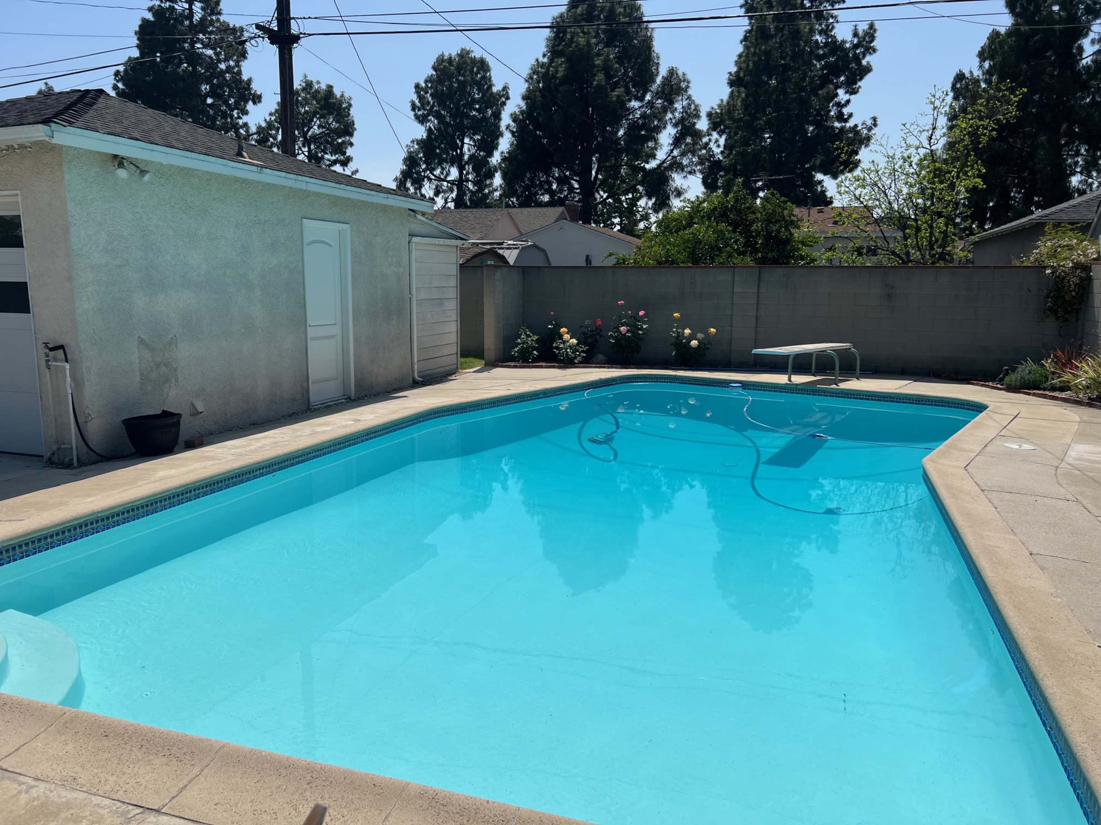 The image shows a clear swimming pool surrounded by a tiled deck and bordered by a concrete wall with a few plants and a shed in the background.