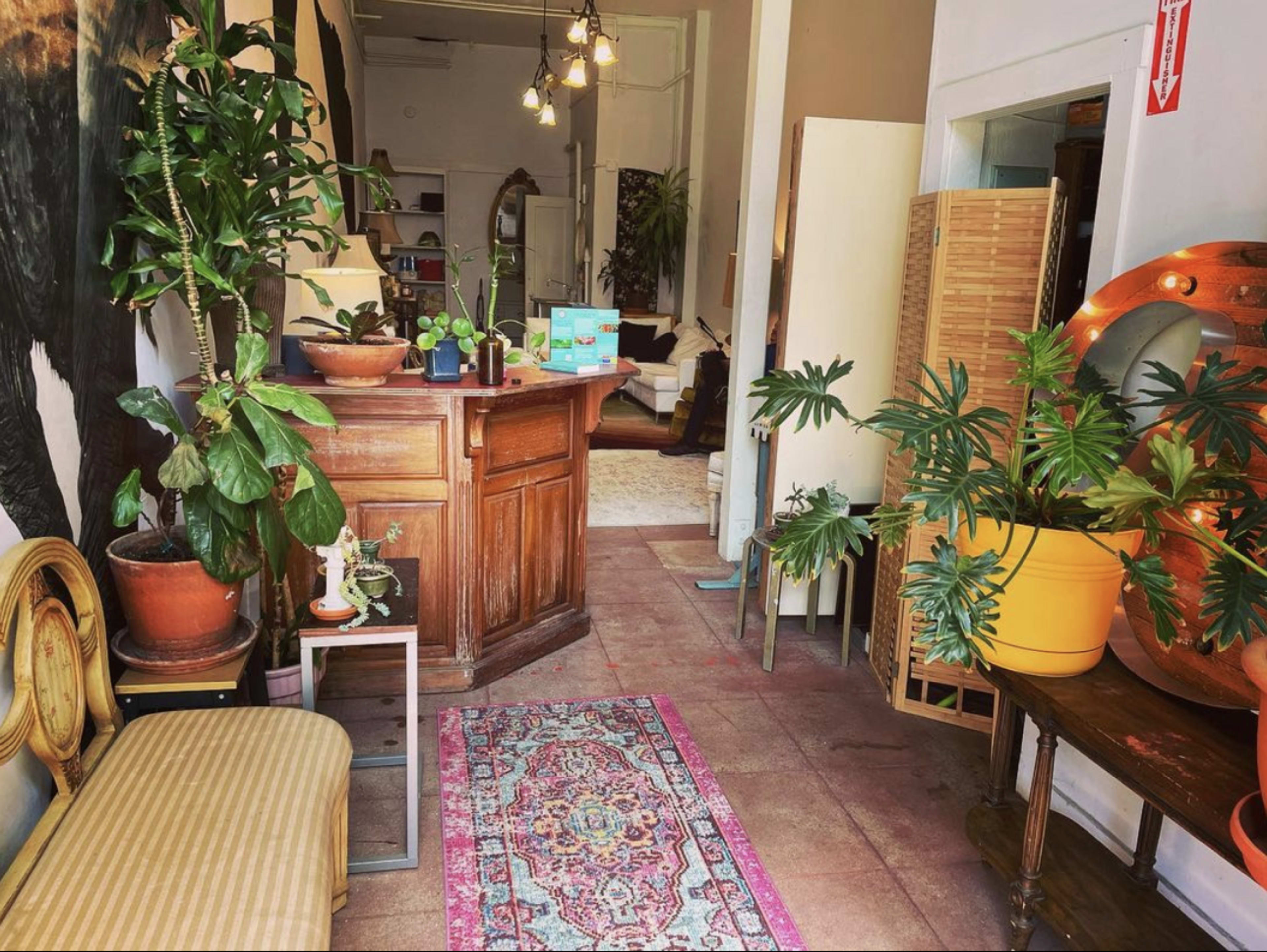 A cozy interior space with a wooden reception desk, potted plants, and a decorative rug, leading into a softly lit area with additional furniture and plants.
