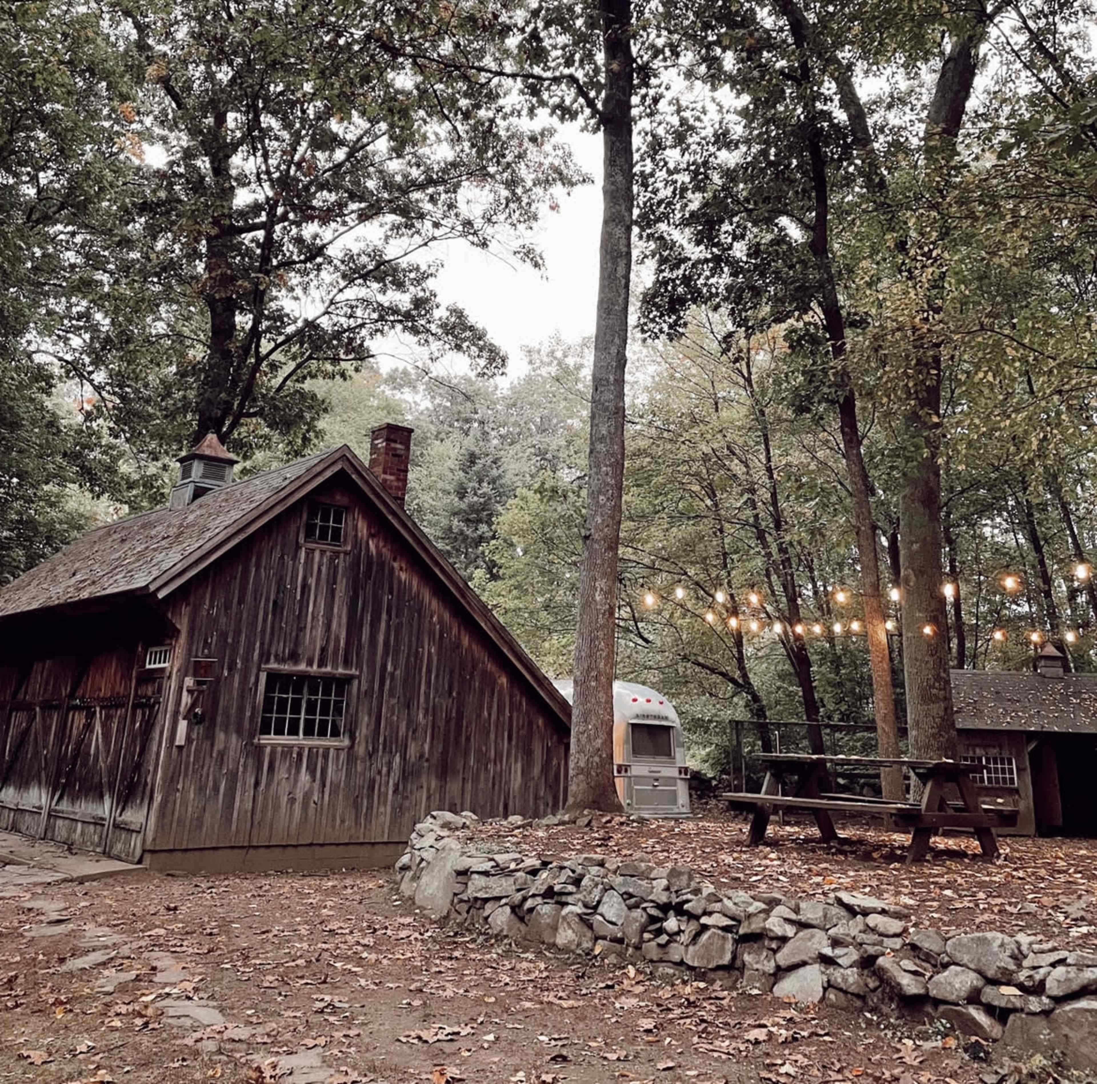 A rustic wooden cabin sits among trees, with a picnic table and a stone wall nearby, illuminated by string lights.