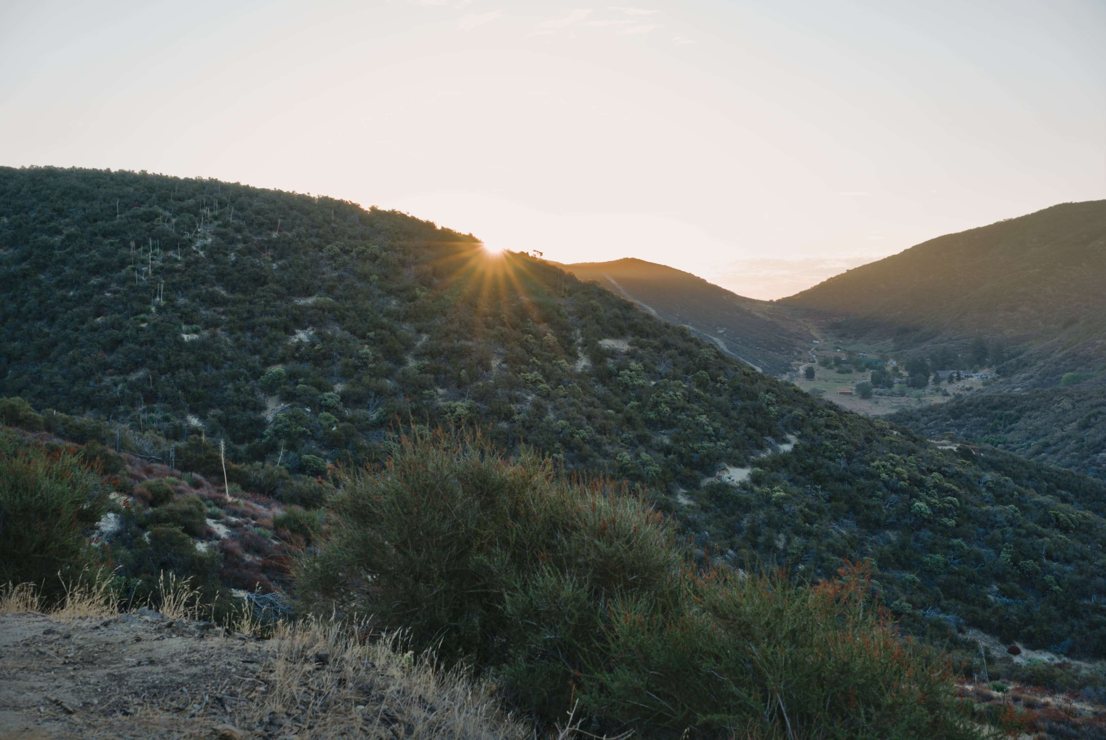 Expansive Mountain/Forest/Woods/Desert Backdrops Image in Leona Valley, Leona Valley, CA