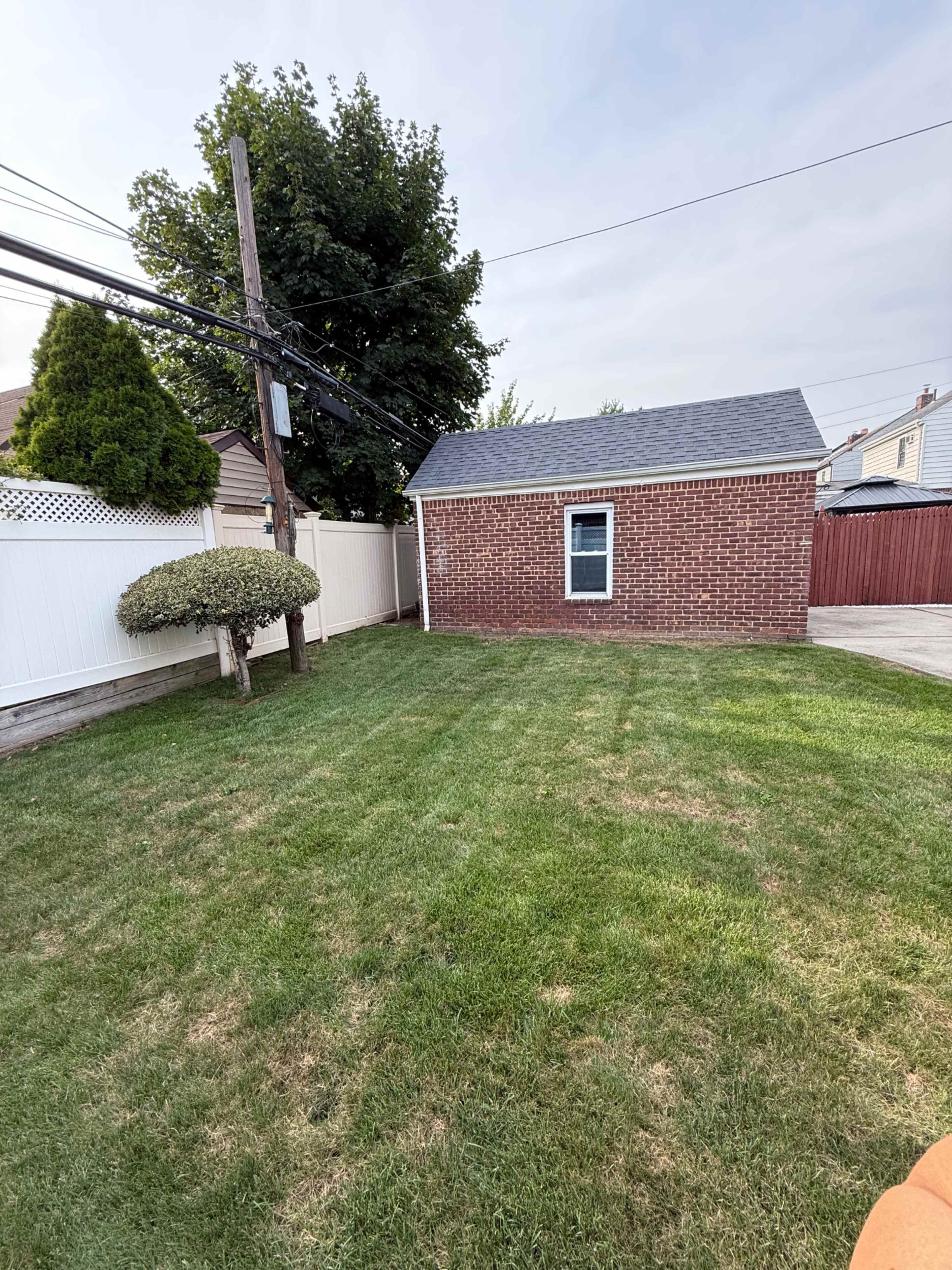 The image shows a grassy backyard with a brick building and power lines running overhead.