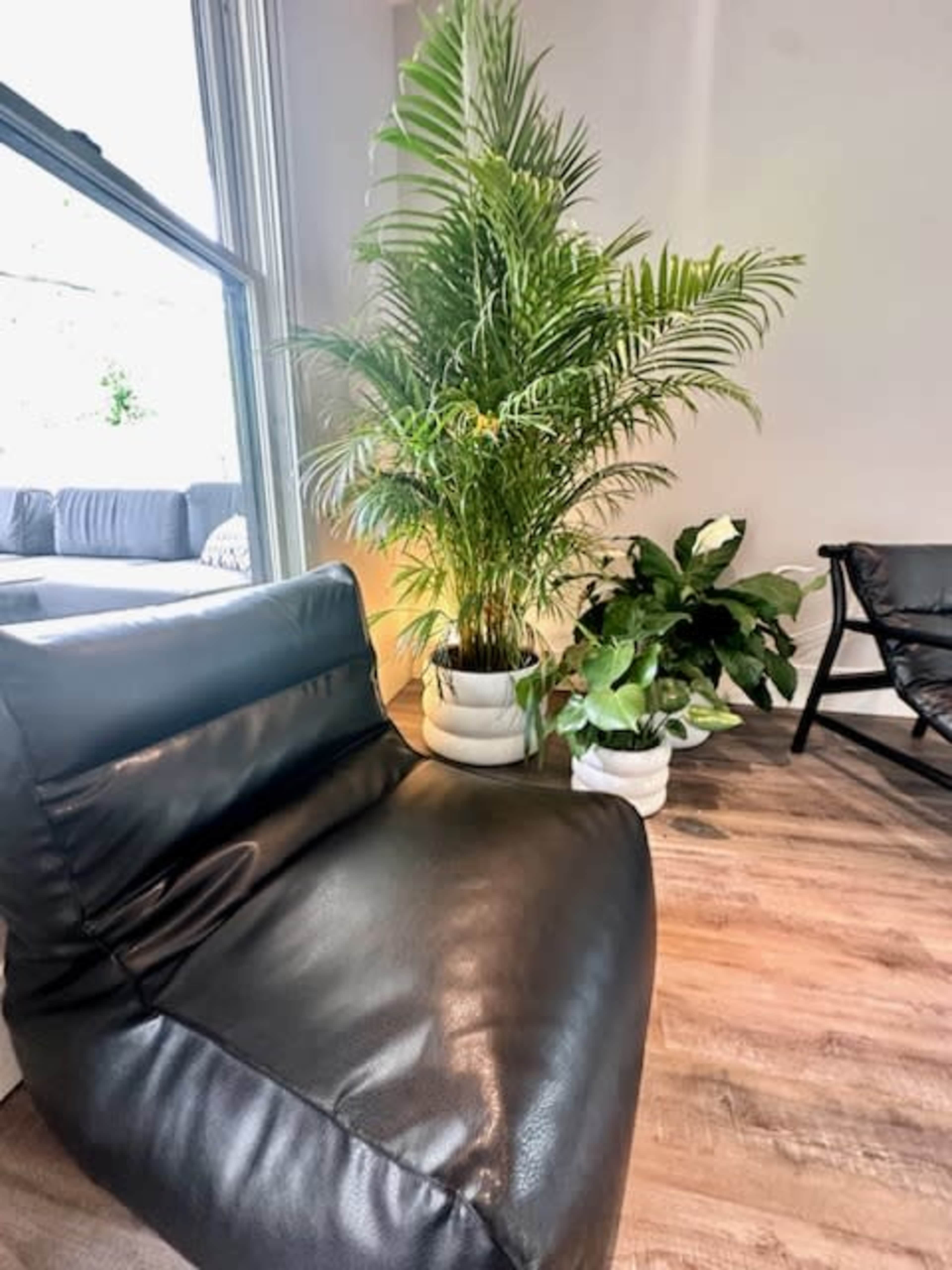 A black bean bag chair next to potted plants in a bright, modern interior.