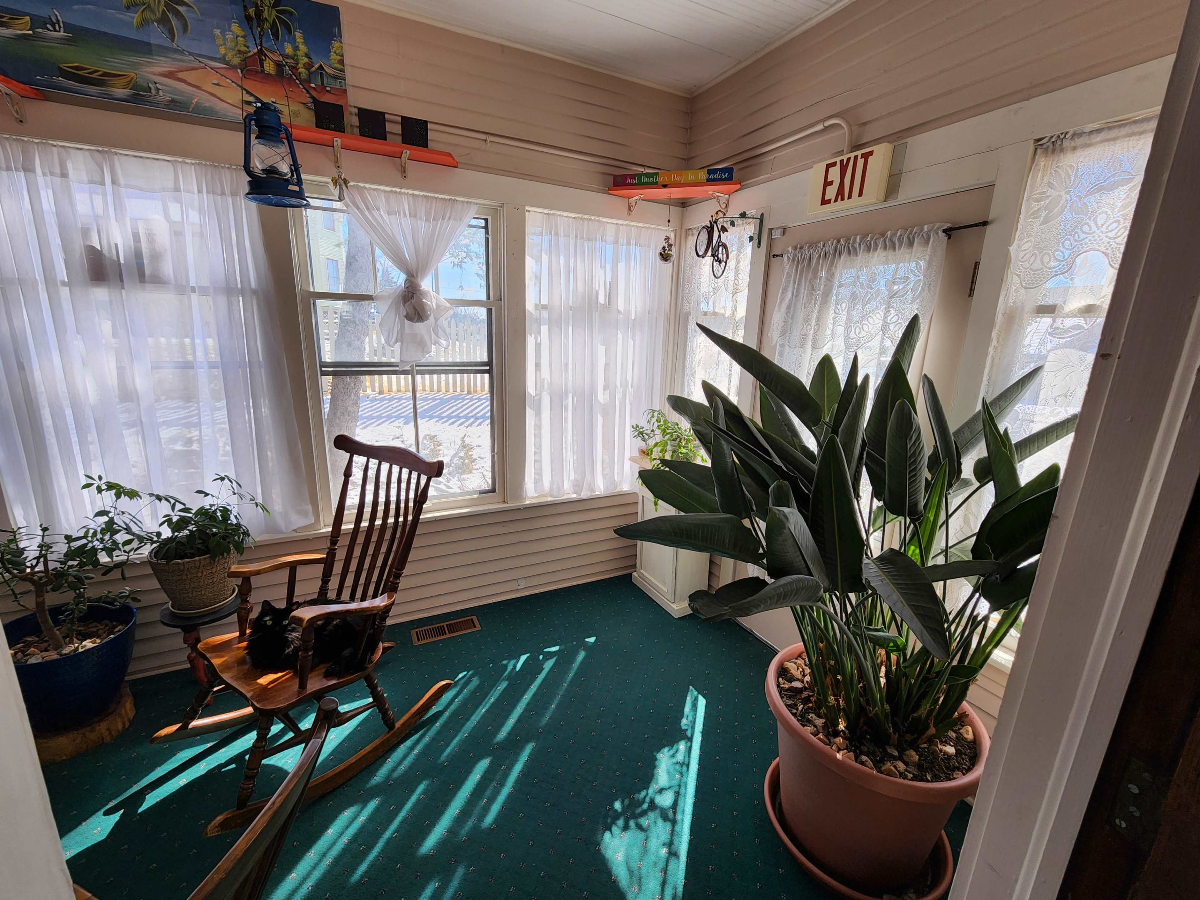 A sunlit sunroom features a rocking chair, potted plants, and large windows adorned with sheer curtains.
