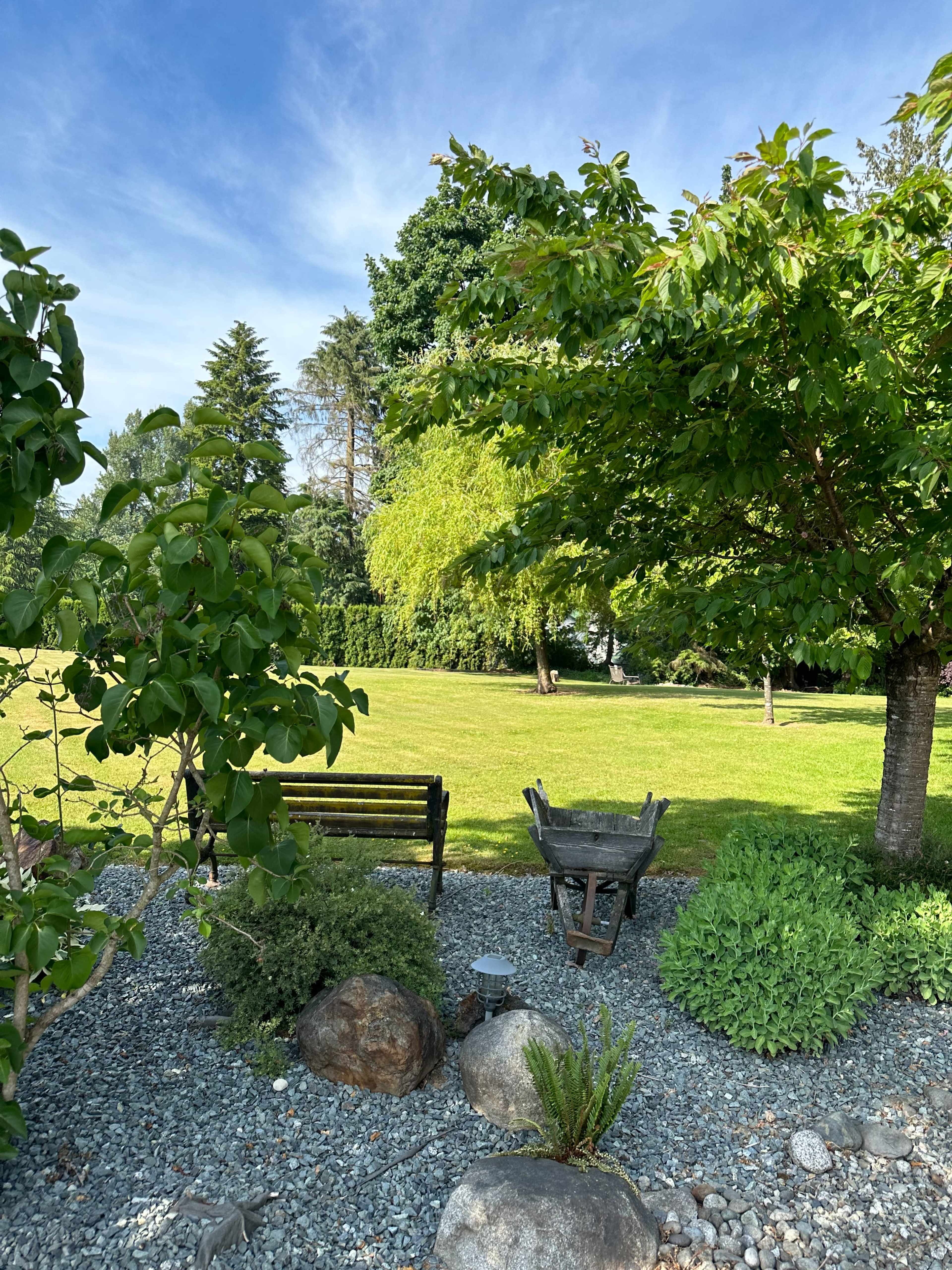 A tranquil outdoor scene features a bench, a wheelbarrow, and various plants arranged around a grassy area with trees in the background.