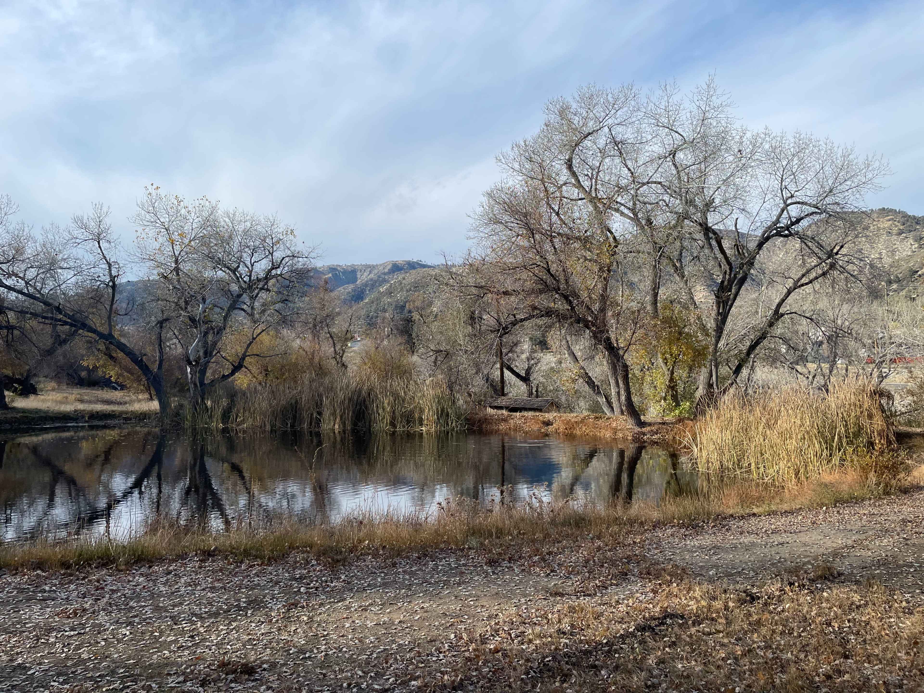 A still pond reflects bare trees and surrounding shrubbery against a backdrop of rolling hills.