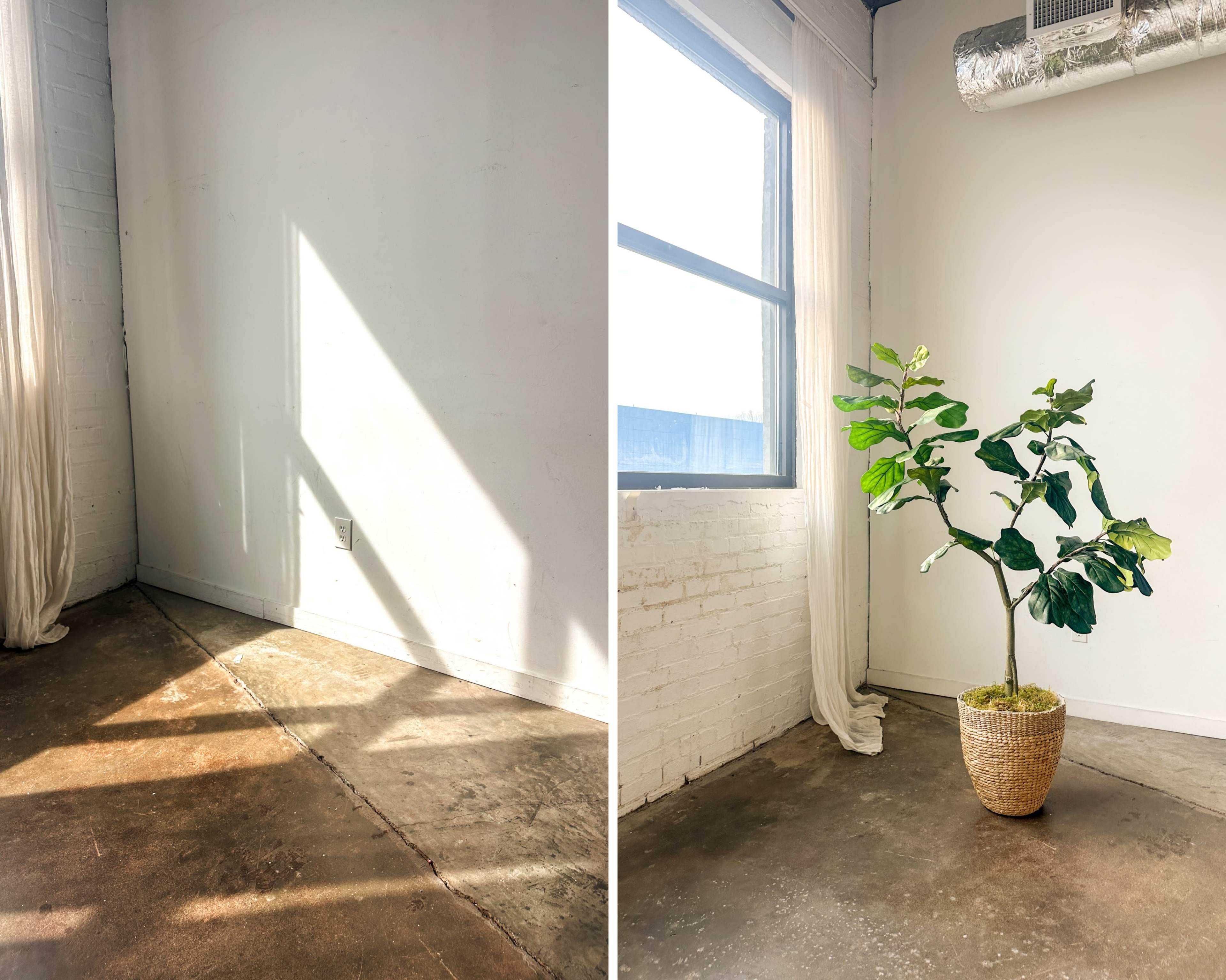 The image shows a bright, minimalistic room with a concrete floor, large windows, and a potted plant in the corner.