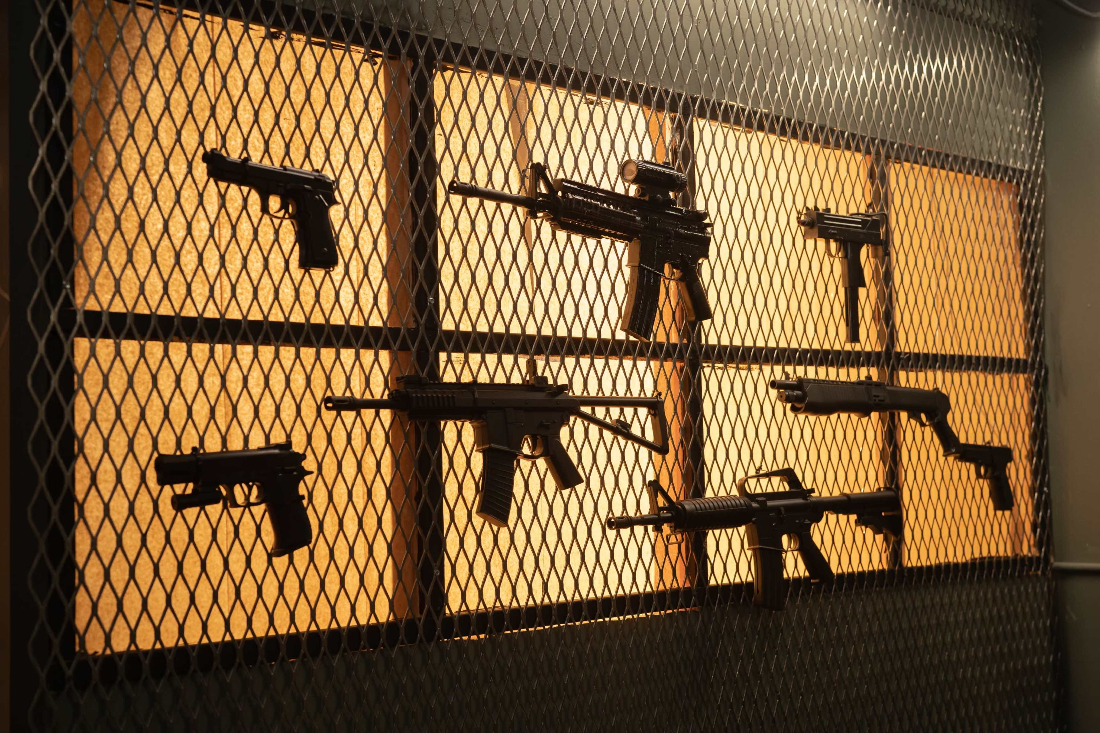 A display of various firearms is mounted behind a mesh screen against a backlit wall.