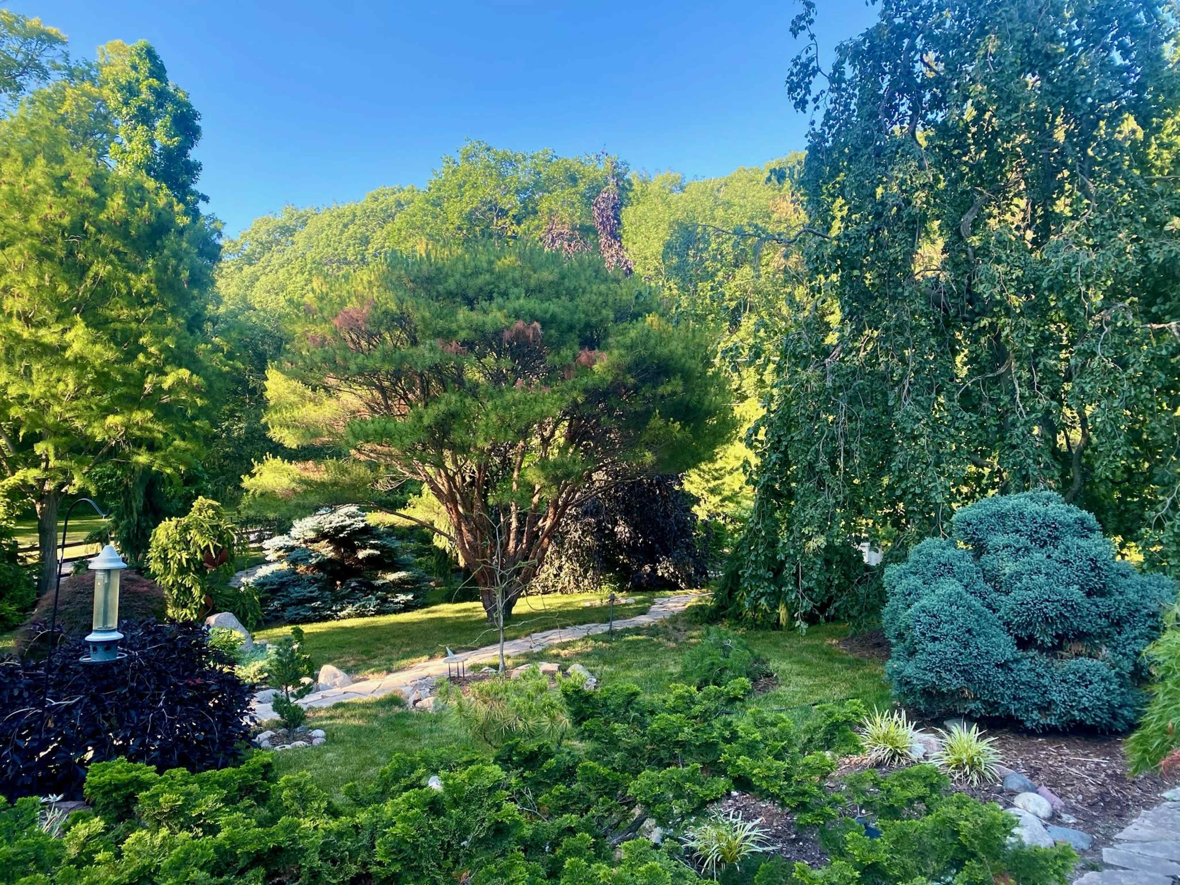 A tranquil garden with various trees, shrubs, and landscaped greenery under a clear blue sky.
