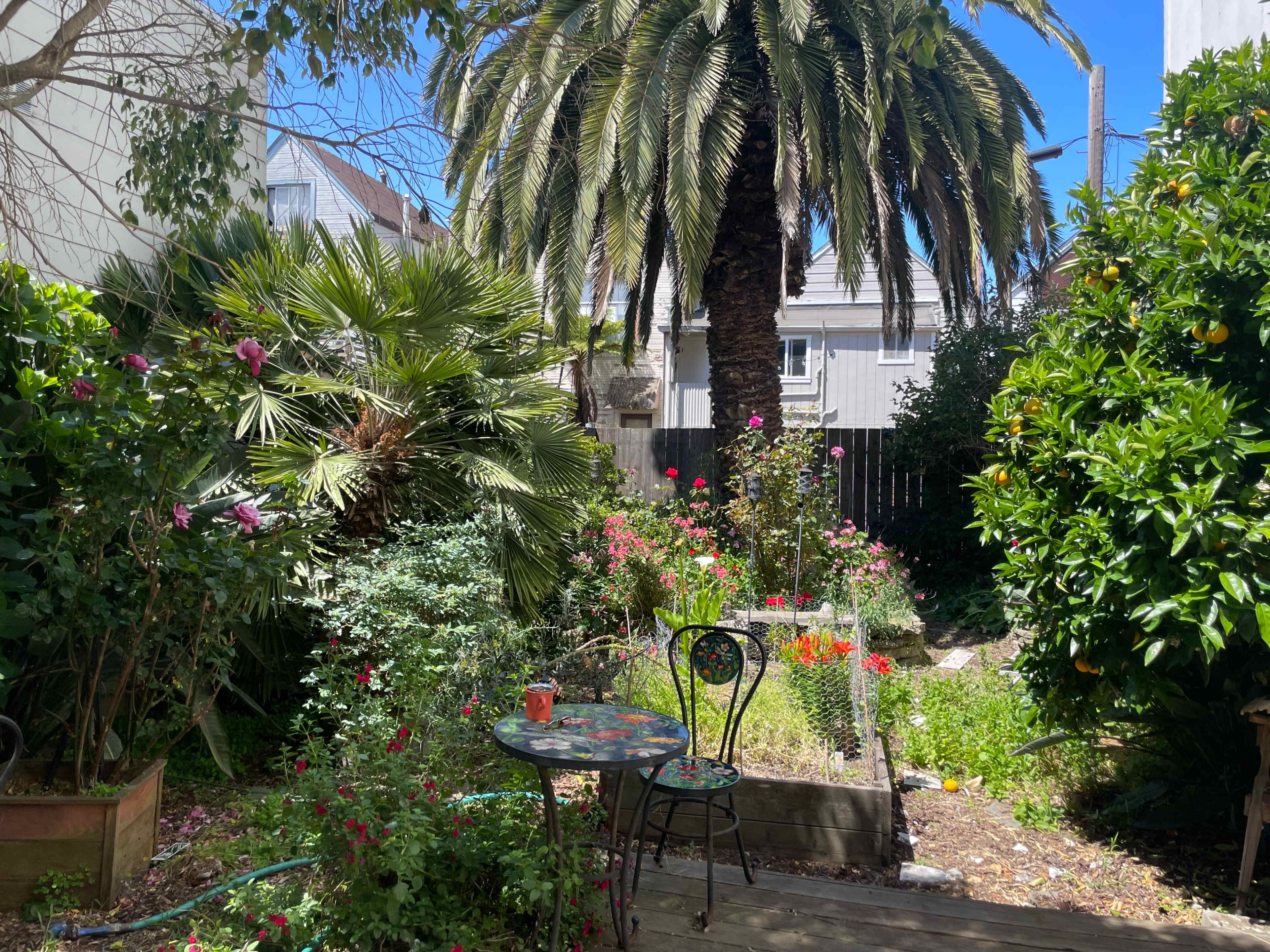 Blossom Oasis: A Lush Backyard Retreat Image in Mission District, San Francisco, CA