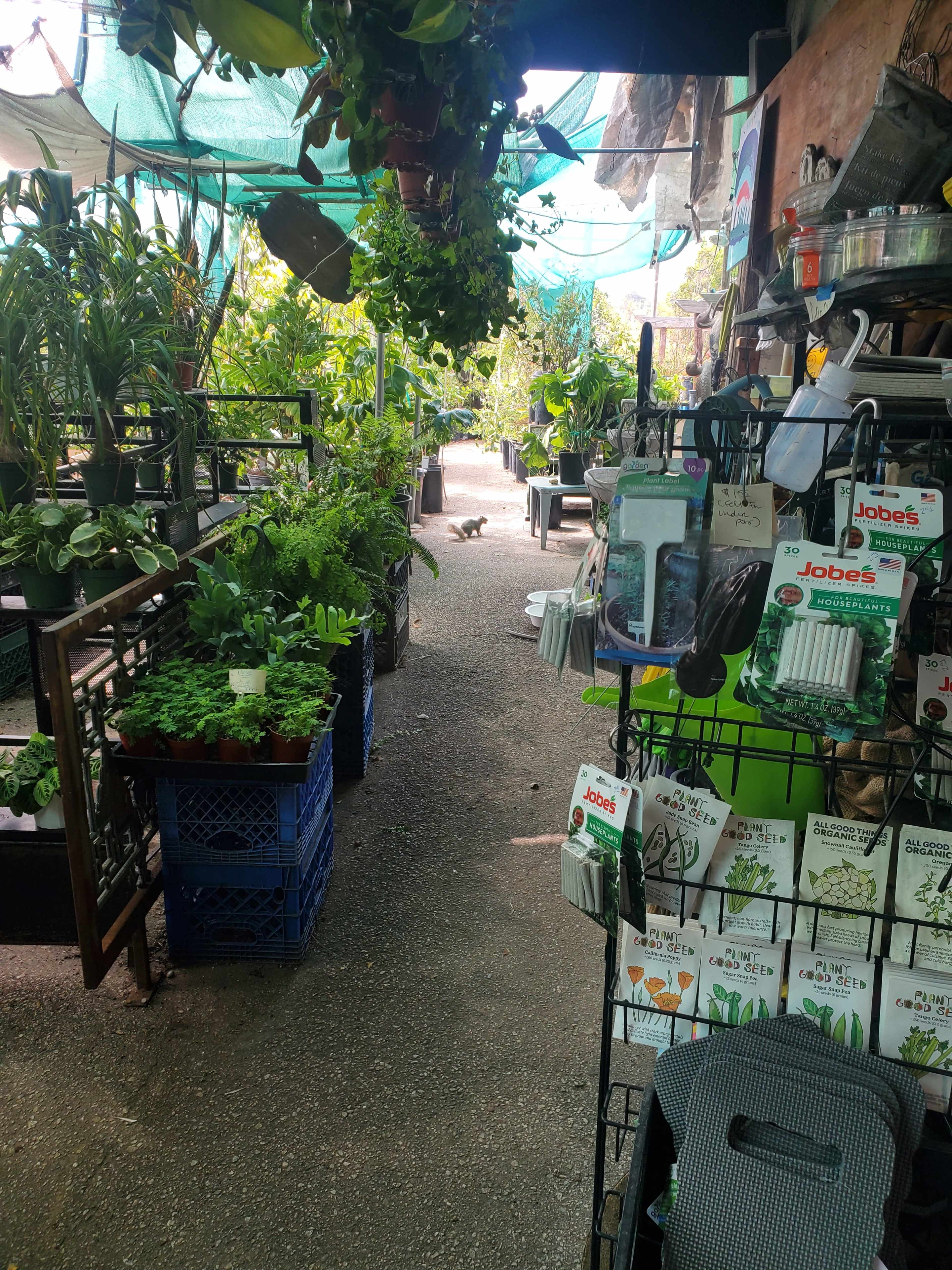The image shows a narrow pathway lined with various potted plants and gardening supplies in a greenhouse setting.