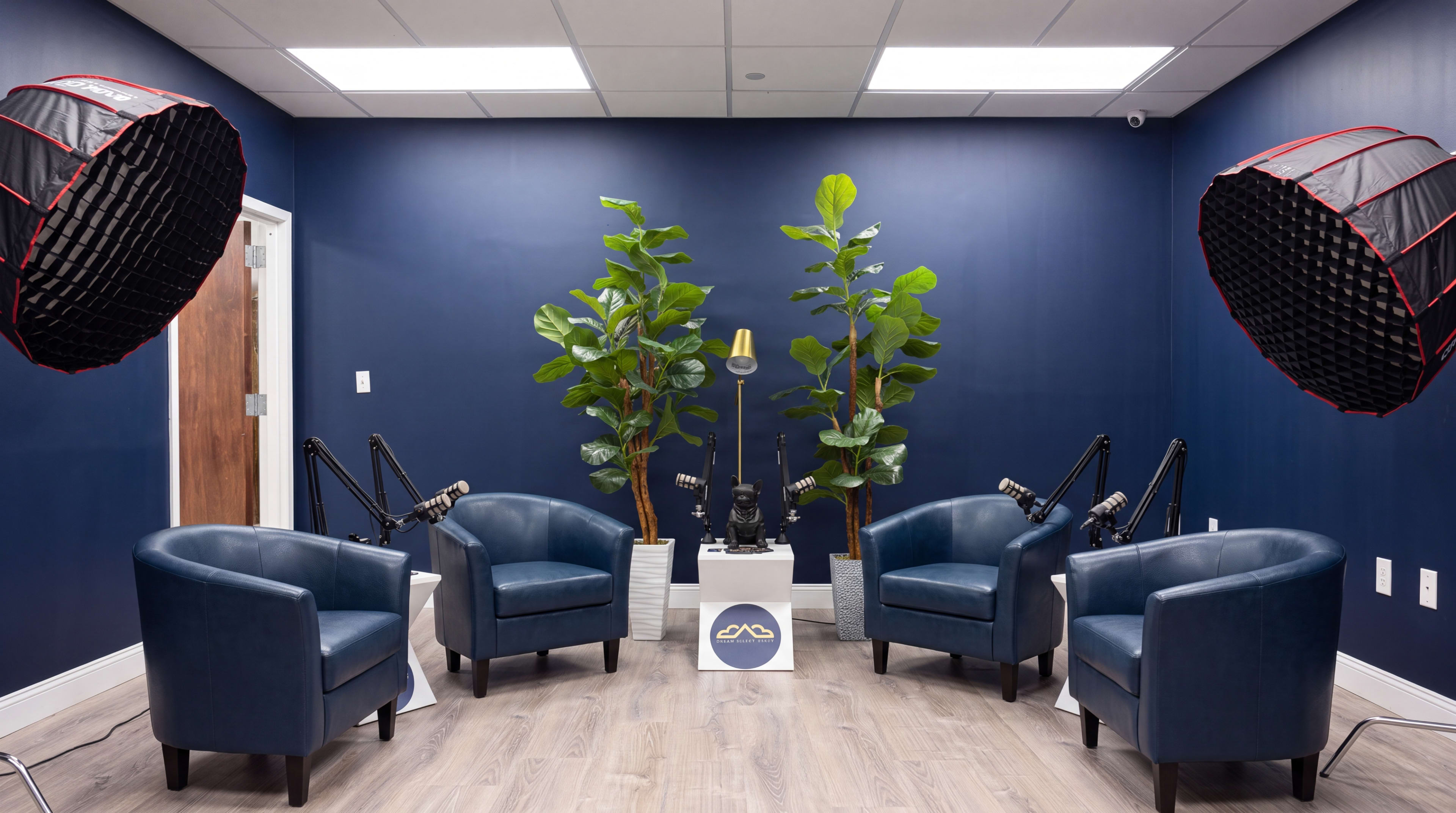 The image shows a modern recording studio setup with two blue armchairs, two potted plants, and two large softbox lights positioned overhead.