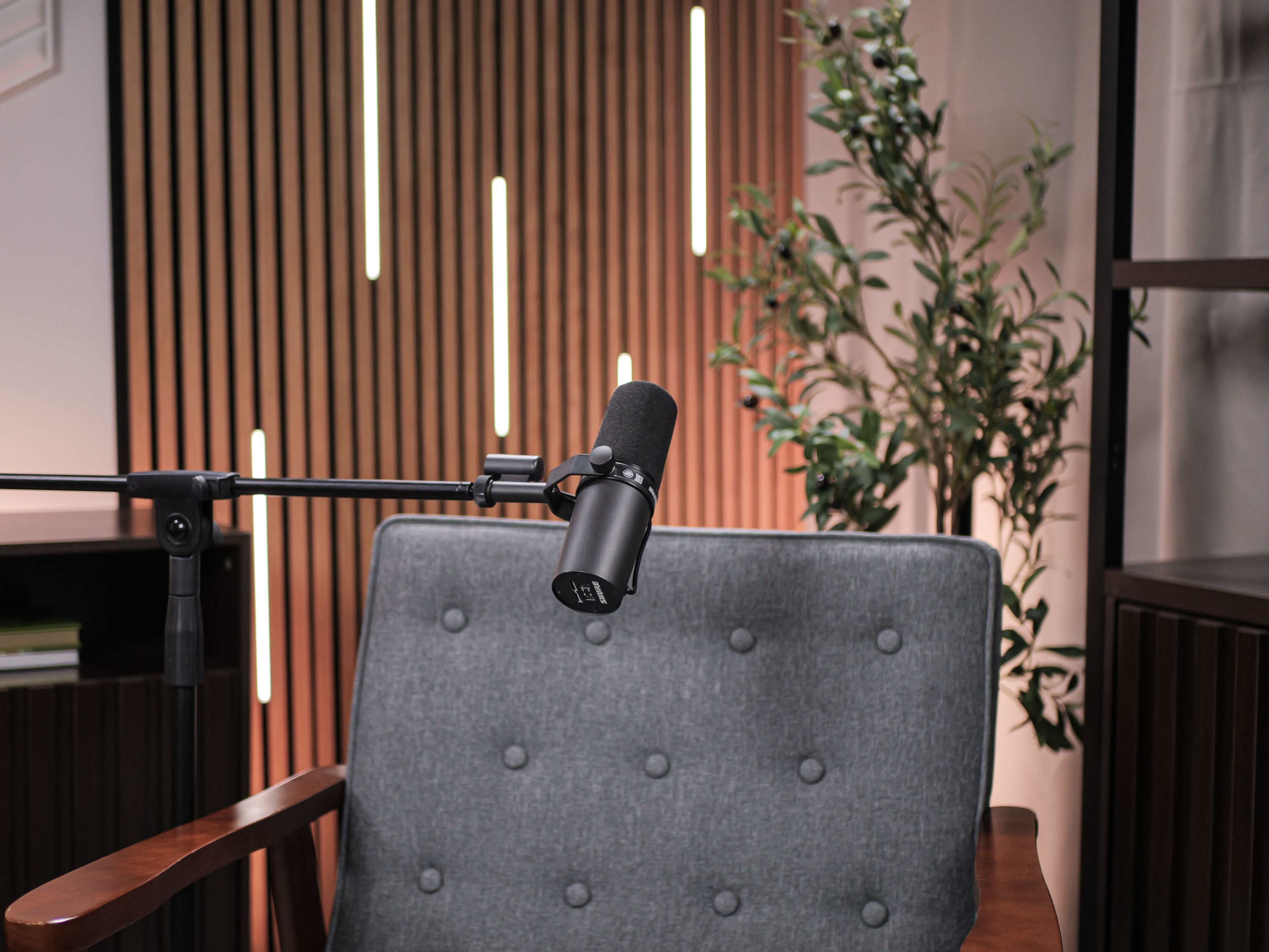 A gray upholstered chair with a microphone mounted on an adjustable arm is positioned in front of a wooden backdrop featuring vertical slats and greenery.