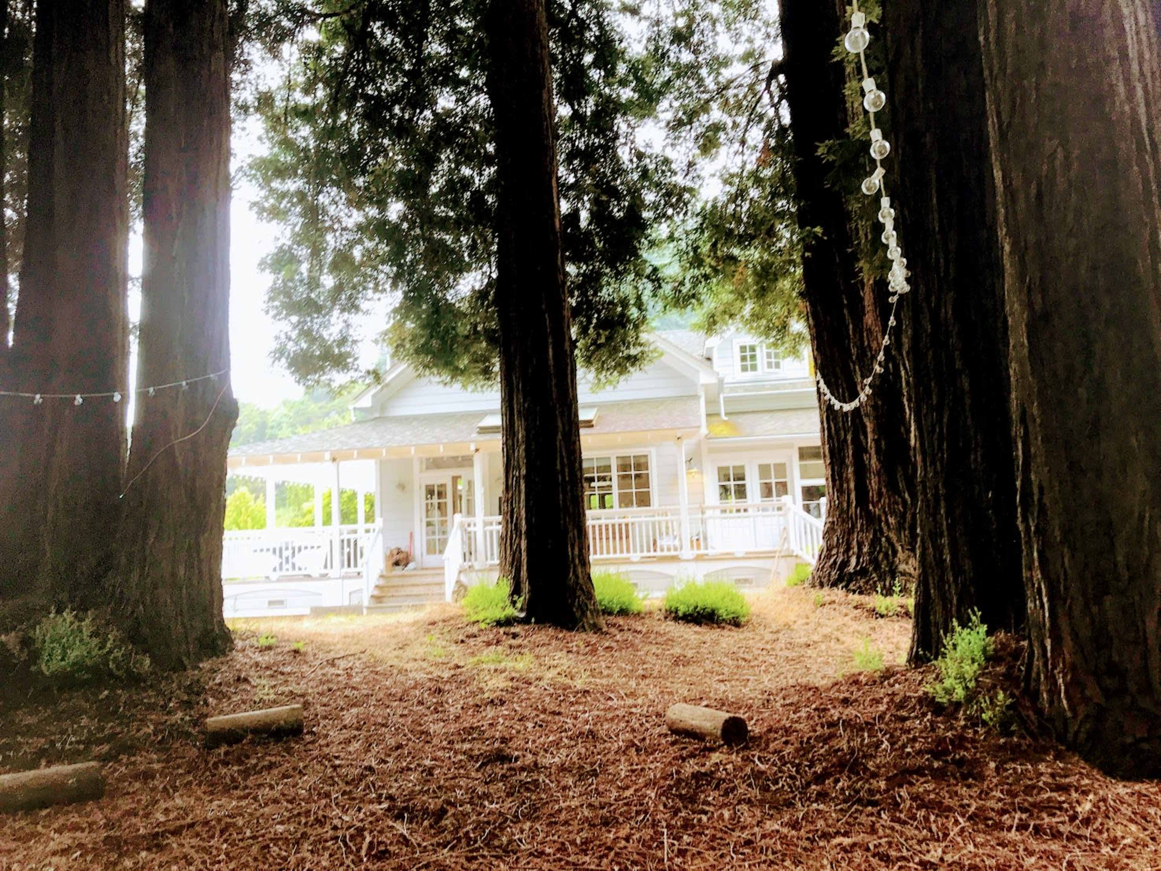 A large house with a porch is situated among tall redwood trees in a wooded area.