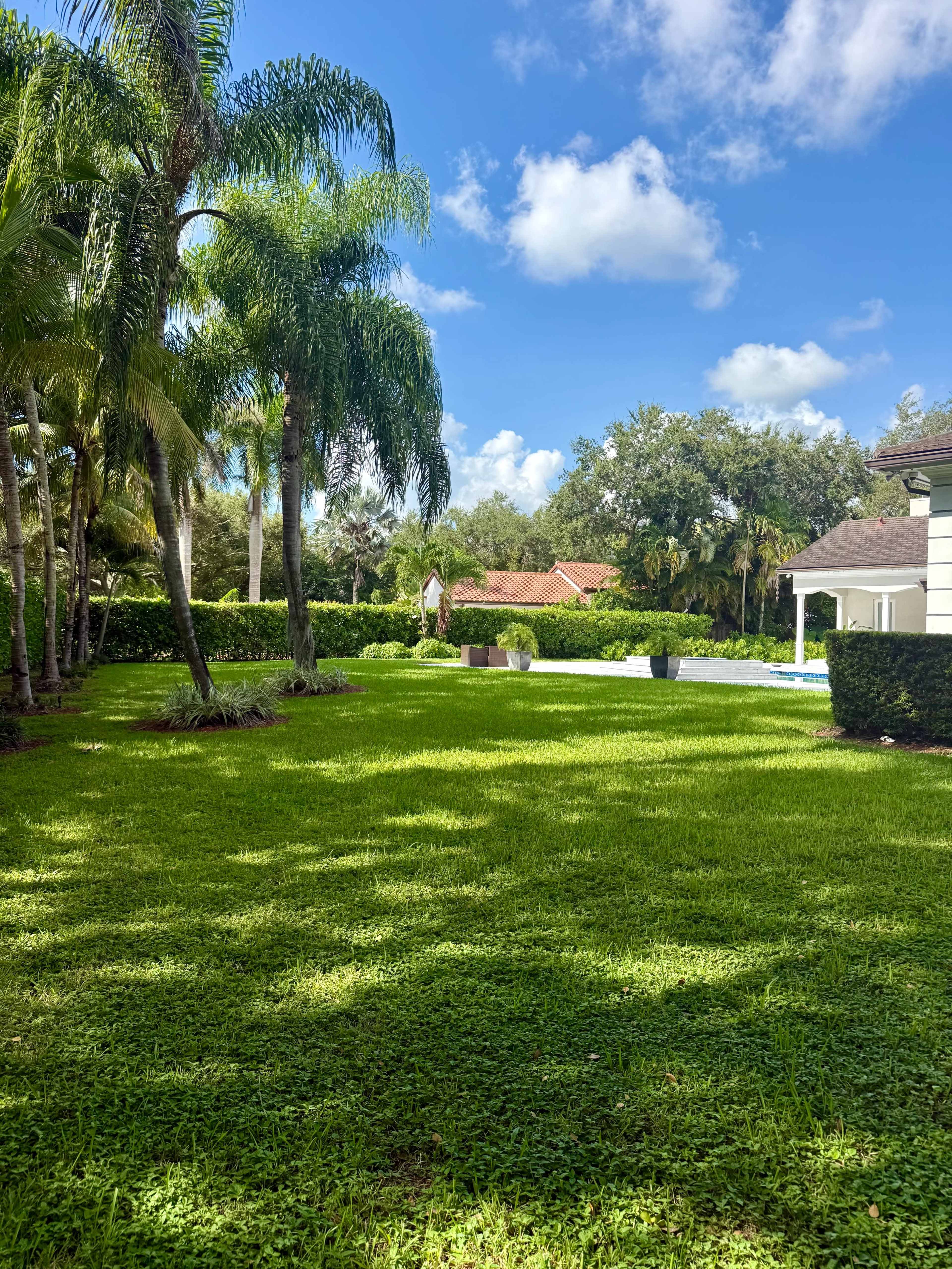 The image shows a landscaped garden with well-maintained green grass, palm trees, and a clear blue sky with scattered clouds.