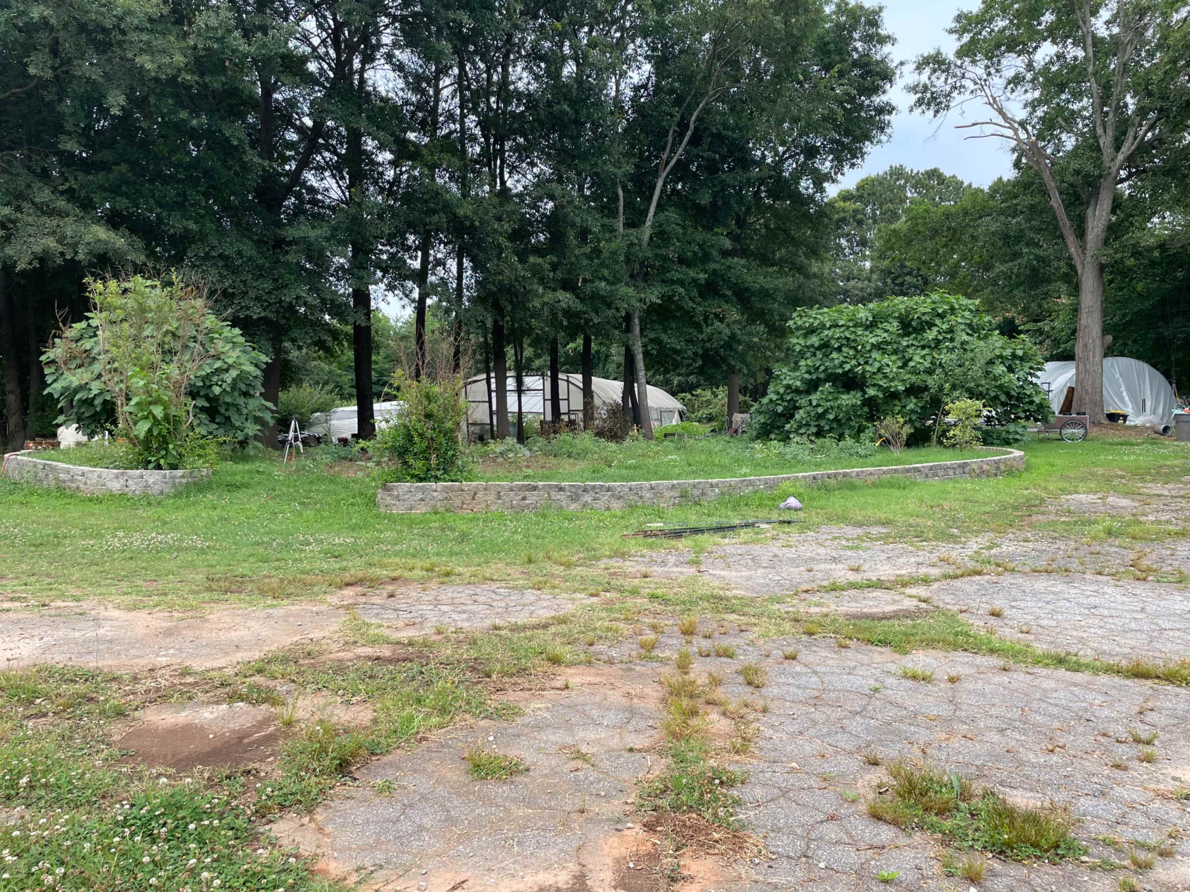 A gravel area with a curved stone wall, surrounded by overgrown vegetation and several greenhouses in the background.