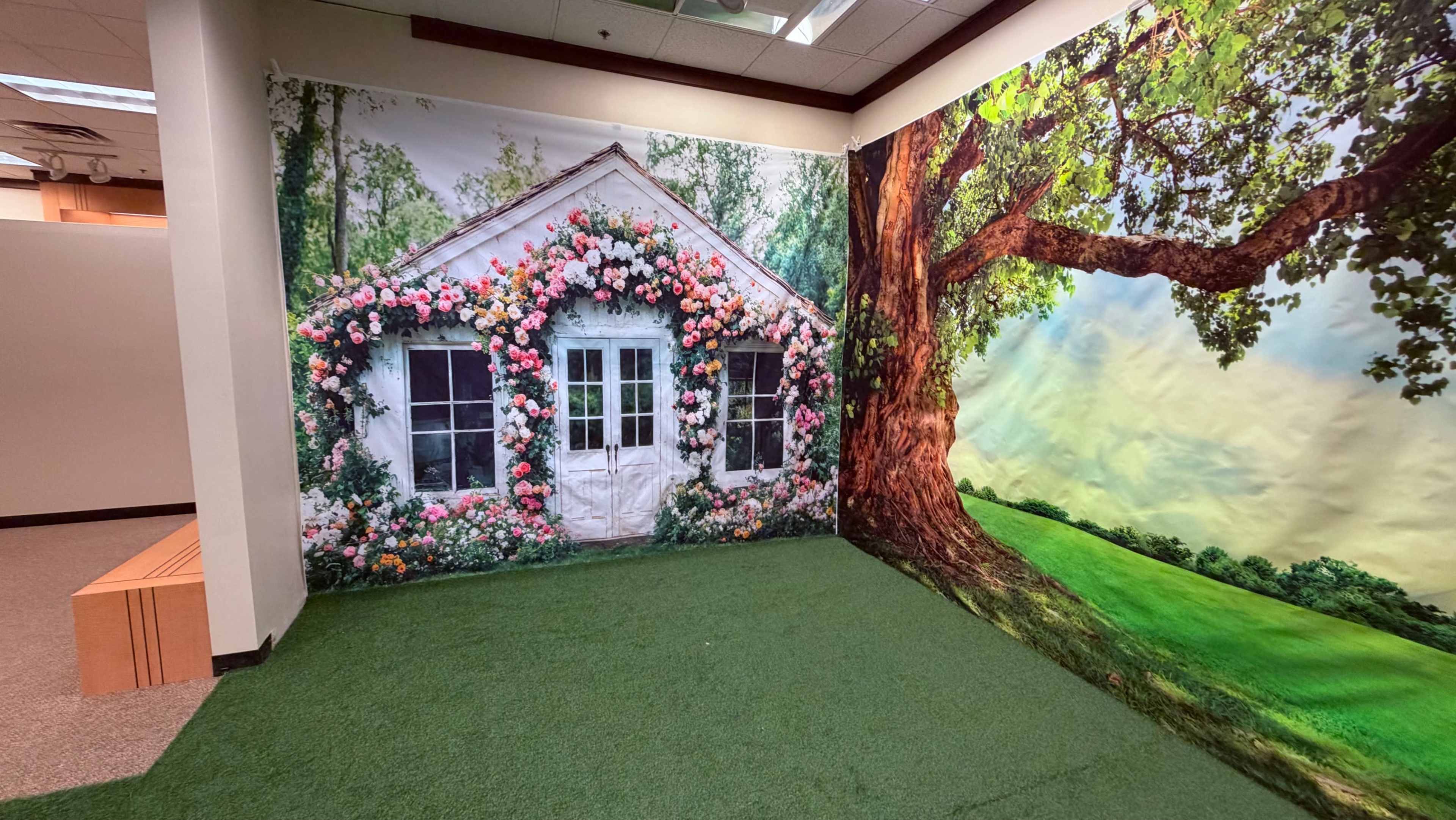 Indoor garden for photography and video productions Image in Applewood, Lakewood, CO