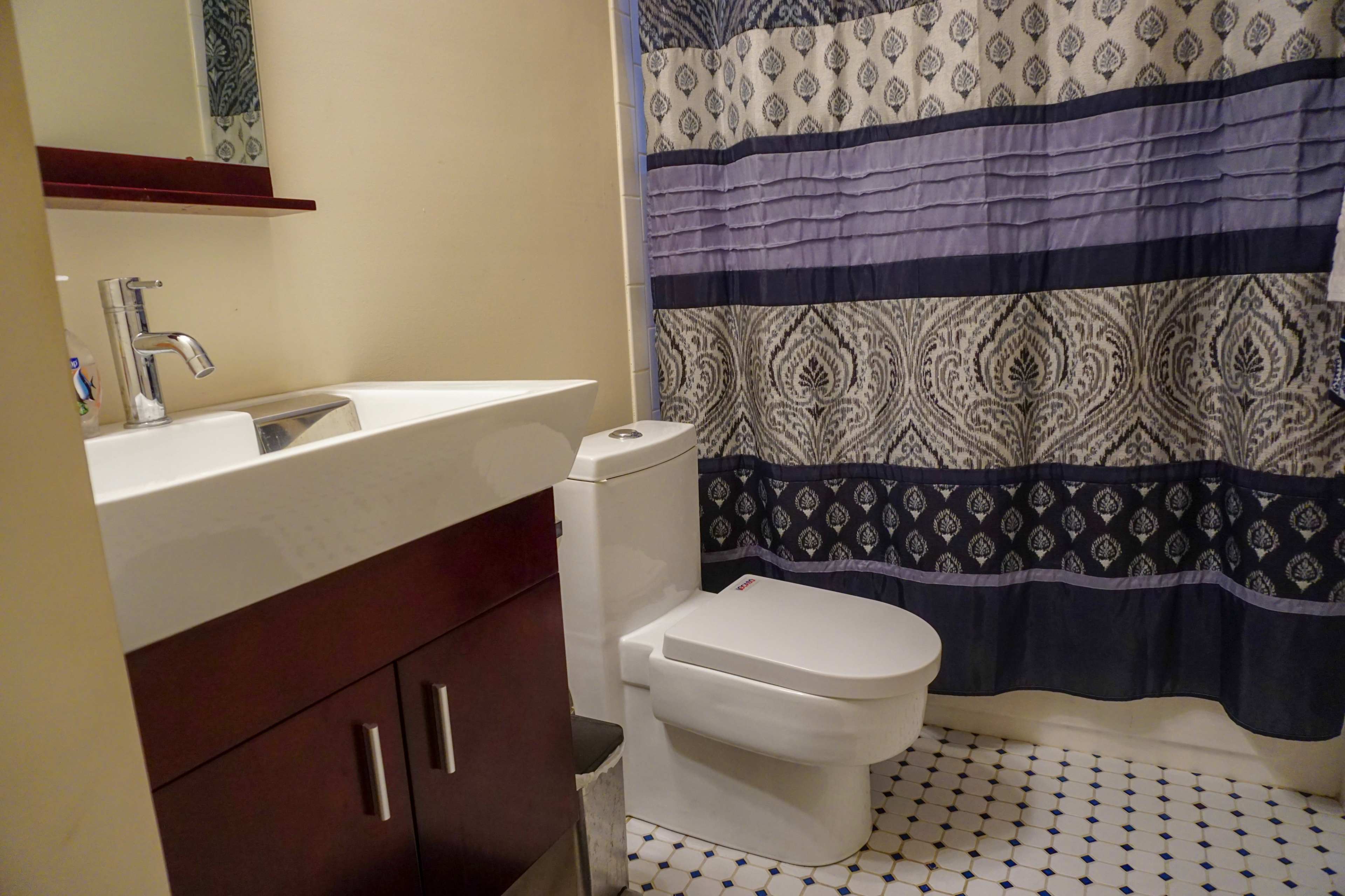 A bathroom featuring a vanity with a sink, a toilet, and a patterned shower curtain.