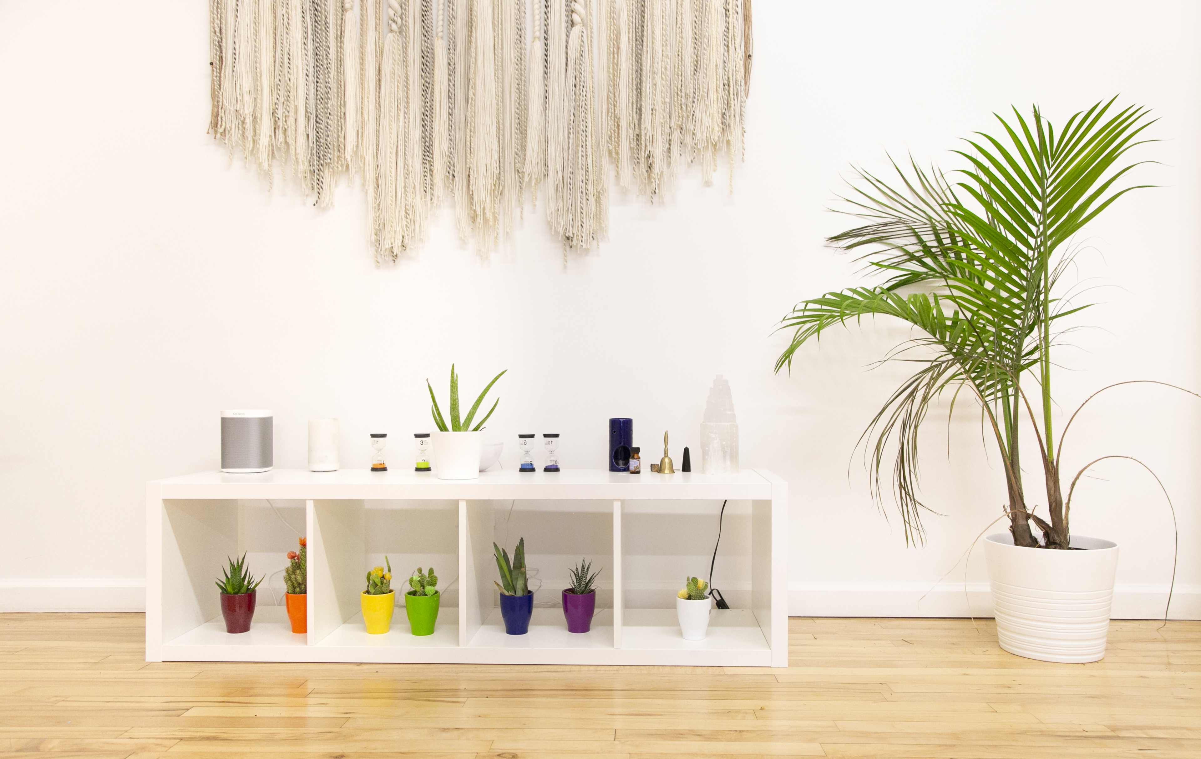 A white shelving unit with various colorful potted plants is positioned against a white wall, accompanied by a hanging woven tapestry and a potted palm.