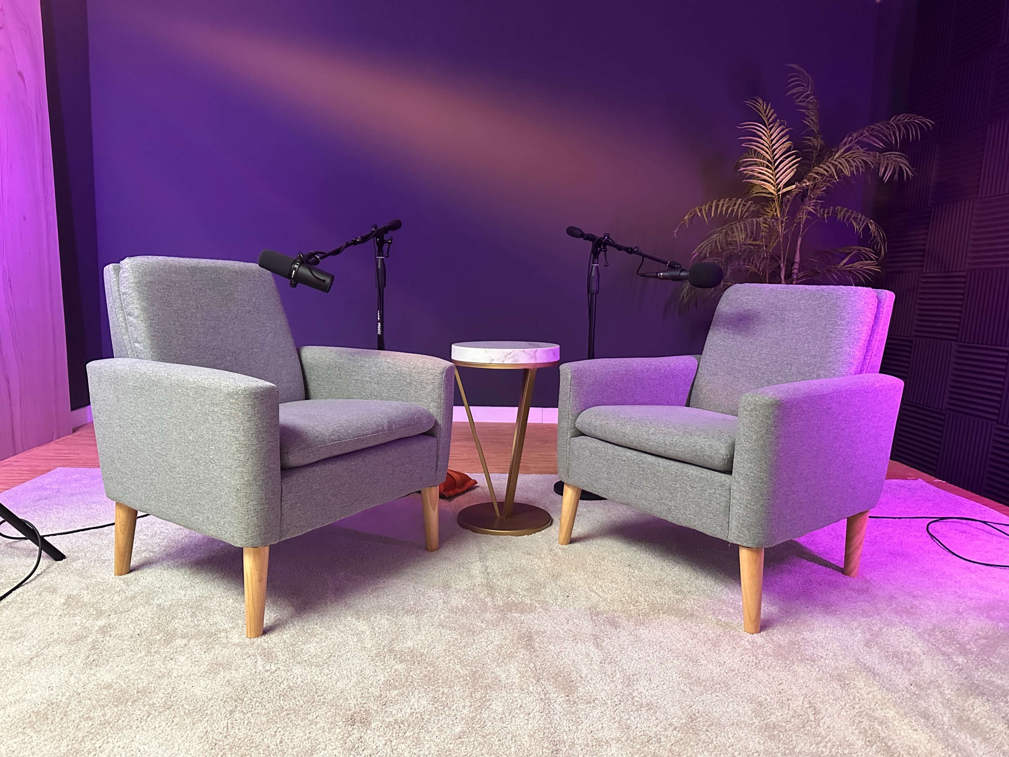 Two gray armchairs are positioned facing each other on a light rug with a small round table between them, under a purple wall and beside a potted plant.
