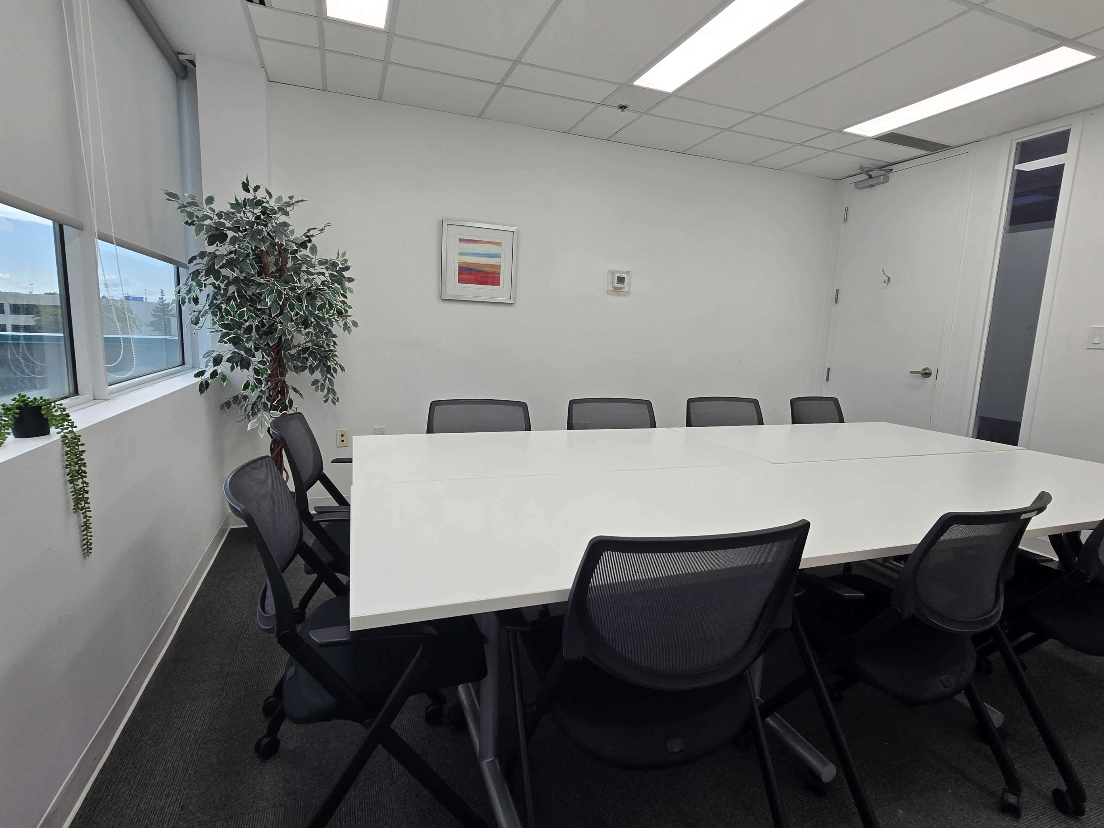 The image shows a modern conference room with a large white table surrounded by black chairs, a potted plant, and a light-colored wall with a framed artwork.