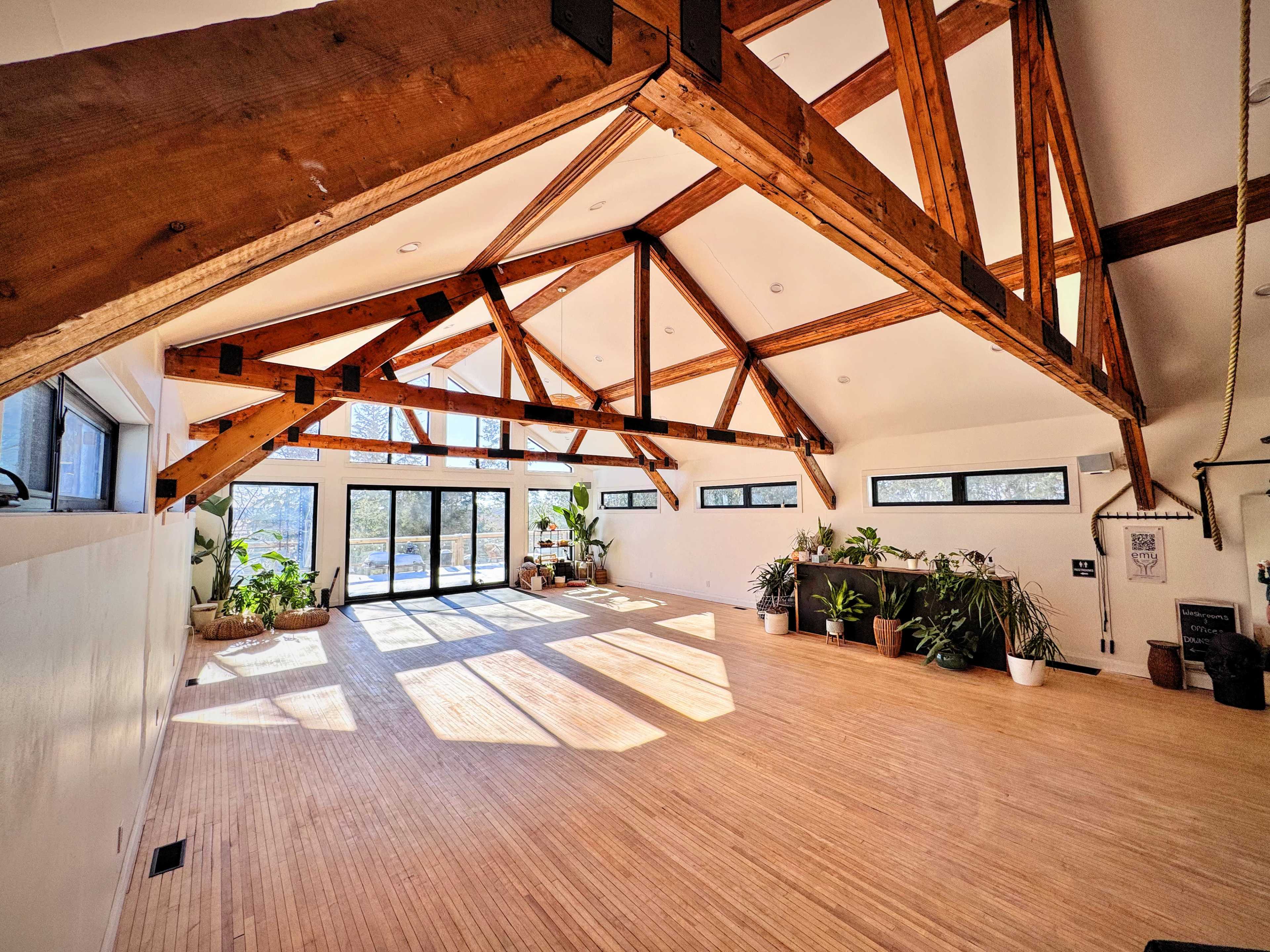 The image shows an open, sunlit room with a wooden beam ceiling and large windows filled with plants along the walls.
