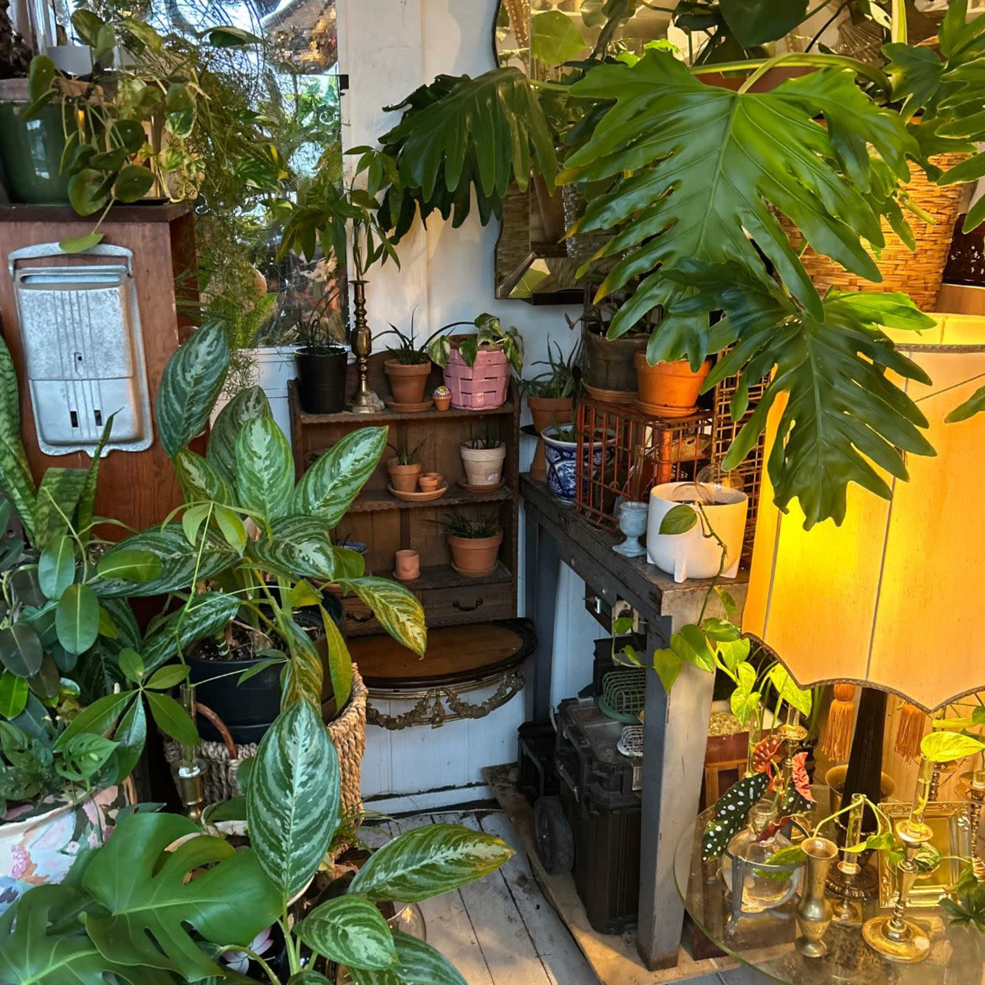 Flower Shop & Secret Content Creation Photo Studio with Piano, Antique Claw Foot Tub, Chandeliers and more. Image in Dumont, Dumont, NJ