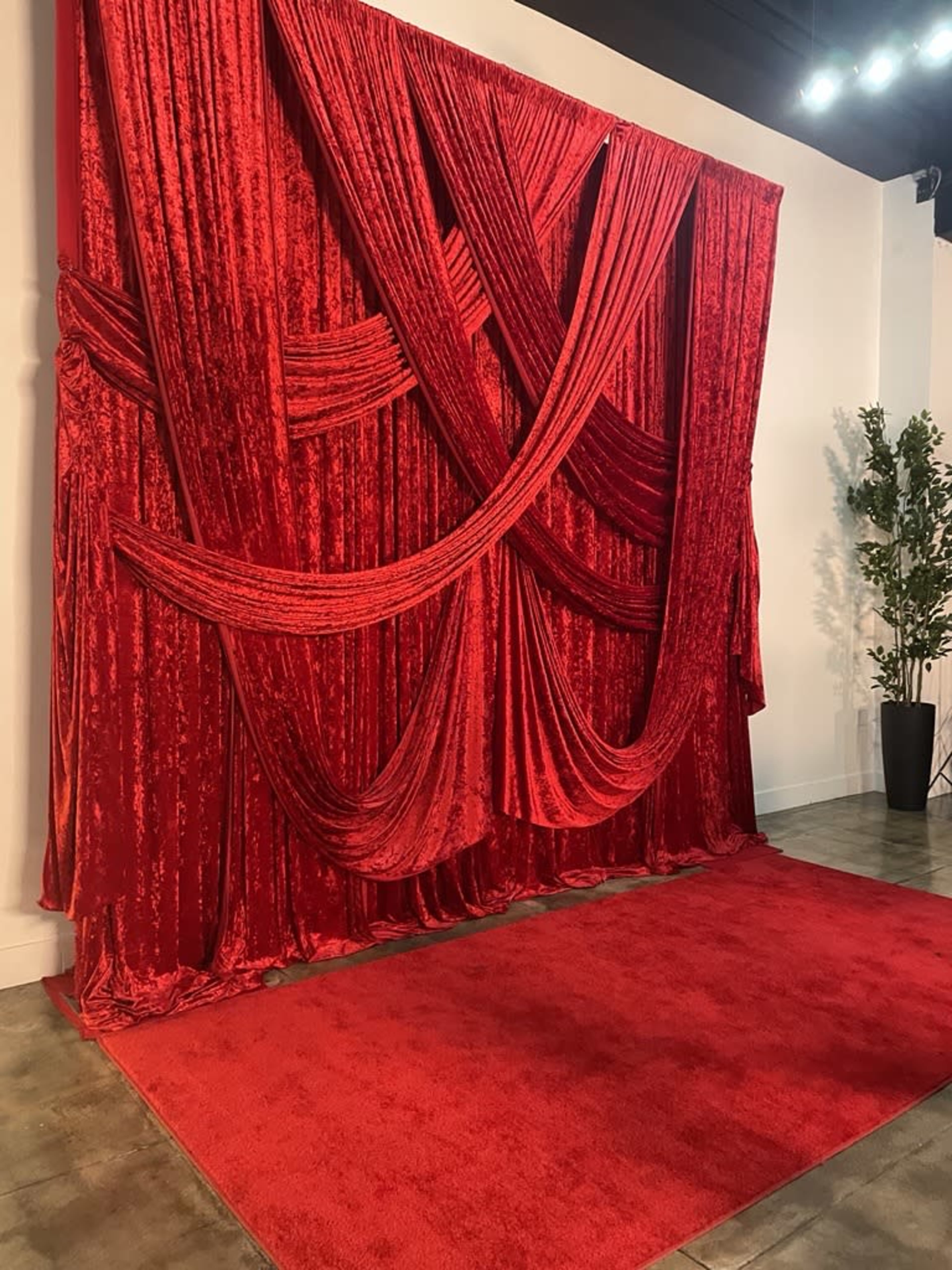 The image features a large, draped red velvet backdrop with a matching carpet on a tiled floor, accompanied by a tall plant in a black pot.