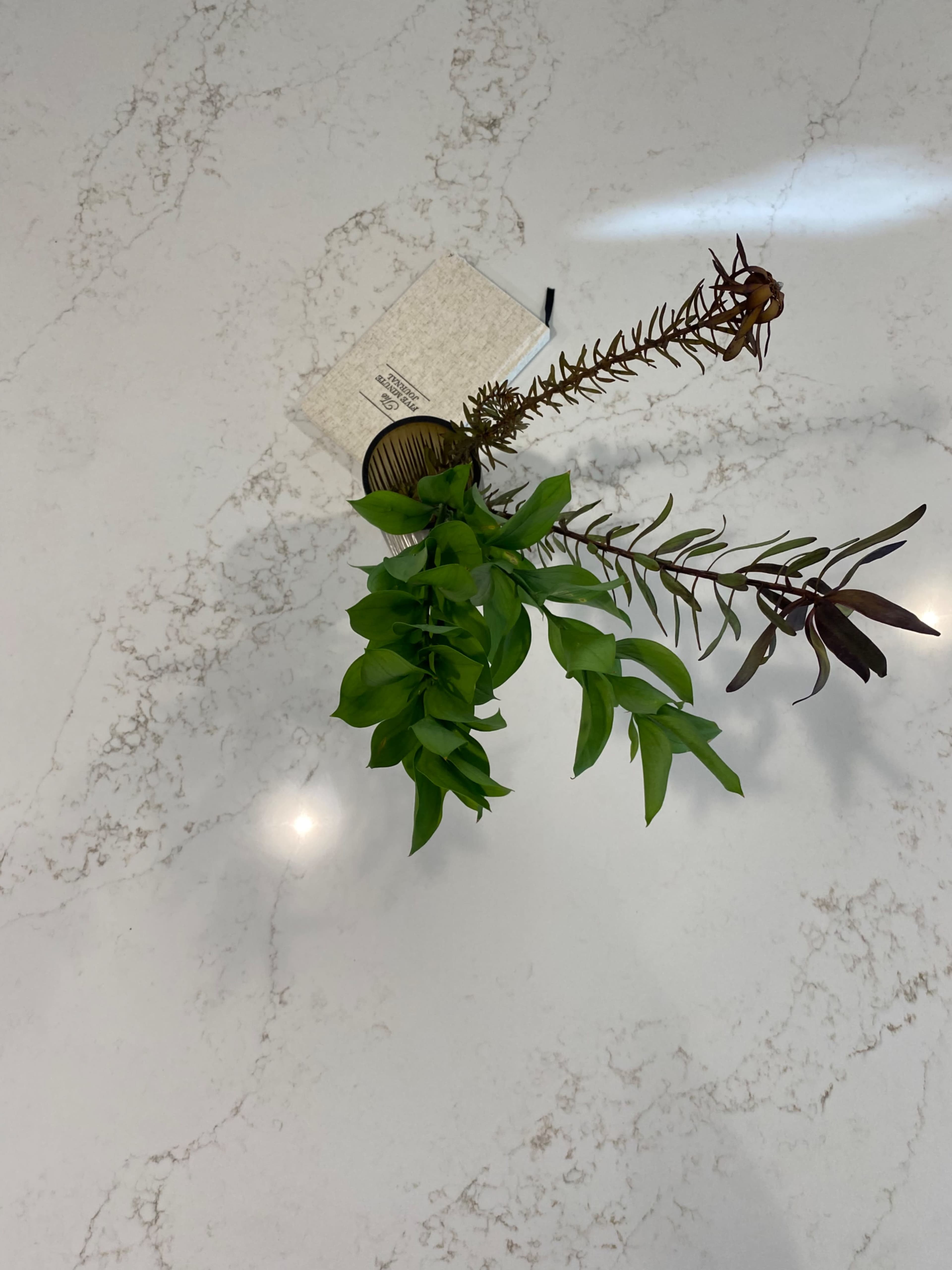 A small arrangement of green plants is positioned on a marble countertop next to a card.