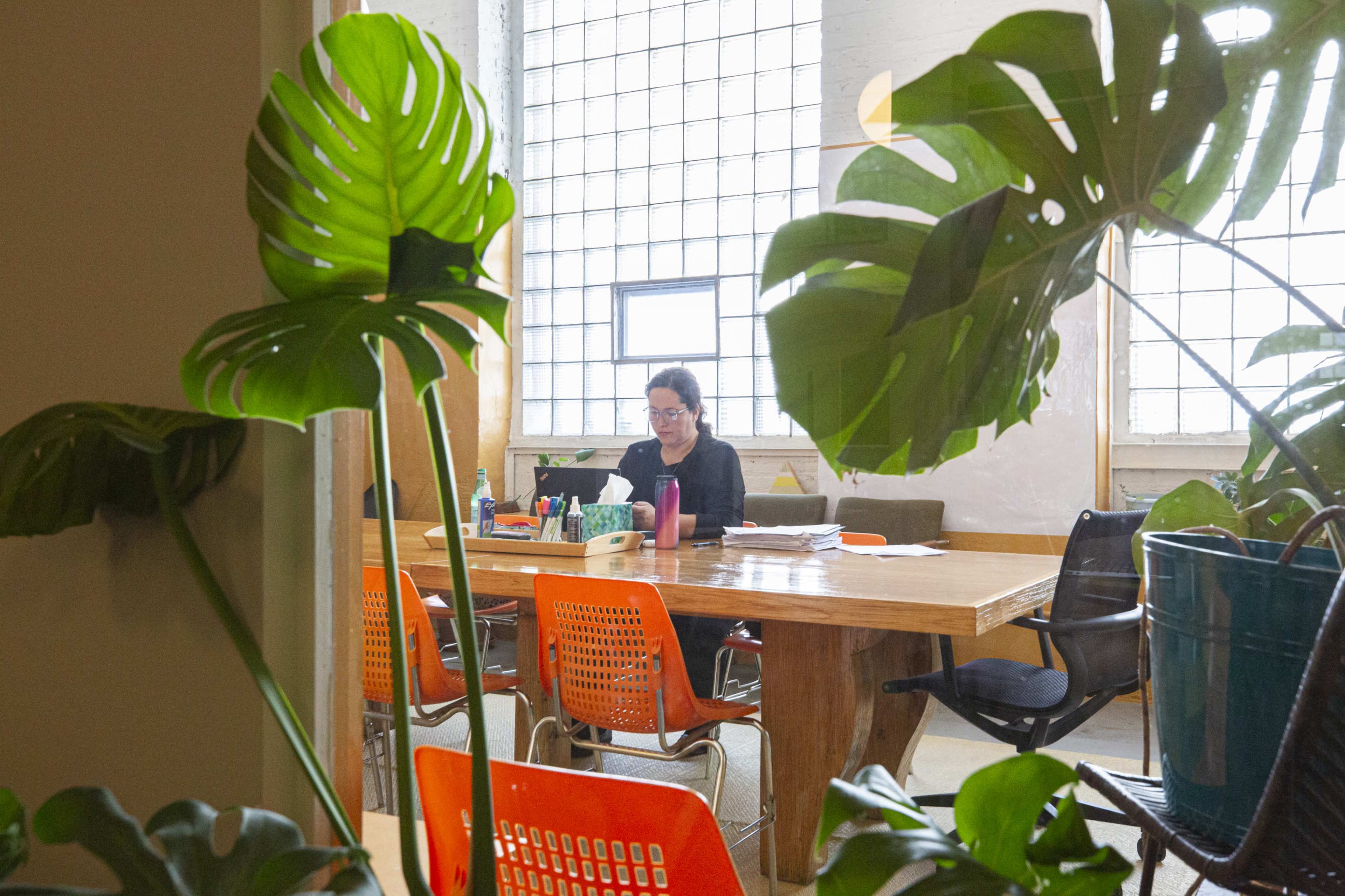 A person works at a wooden table surrounded by plants in a well-lit office space.