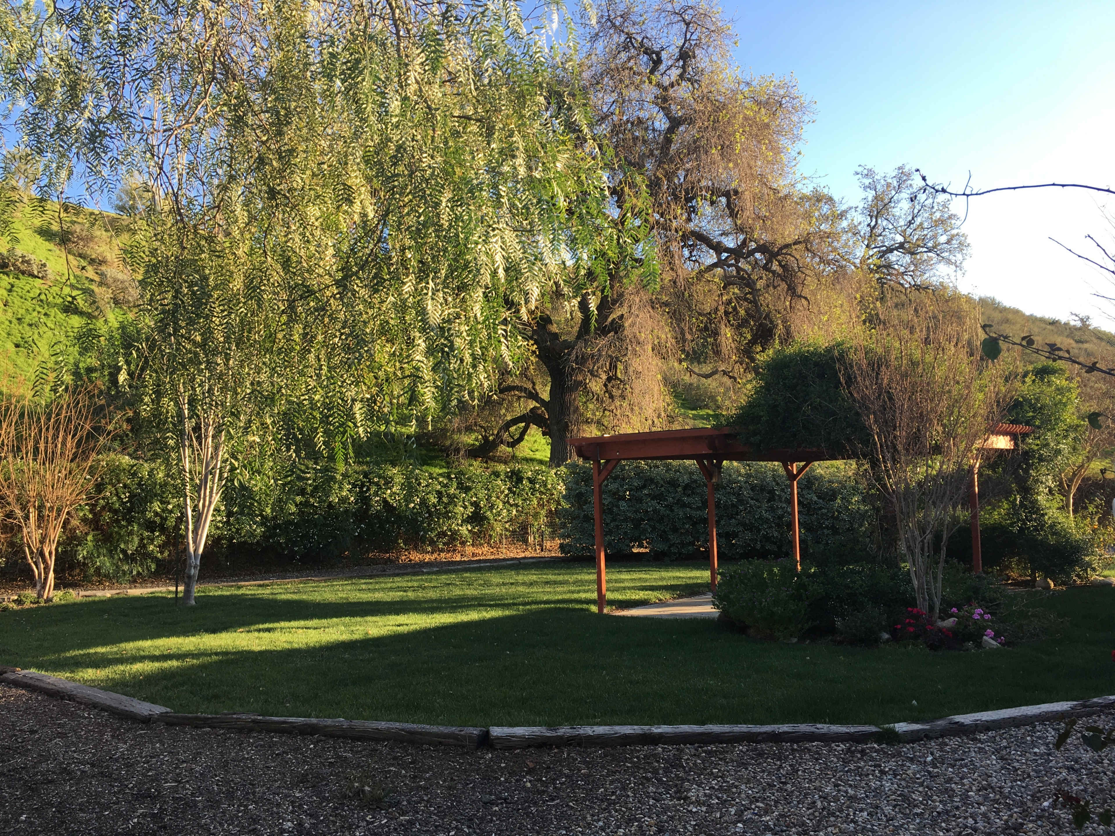A green garden with a wooden gazebo surrounded by trees and shrubs under a clear blue sky.