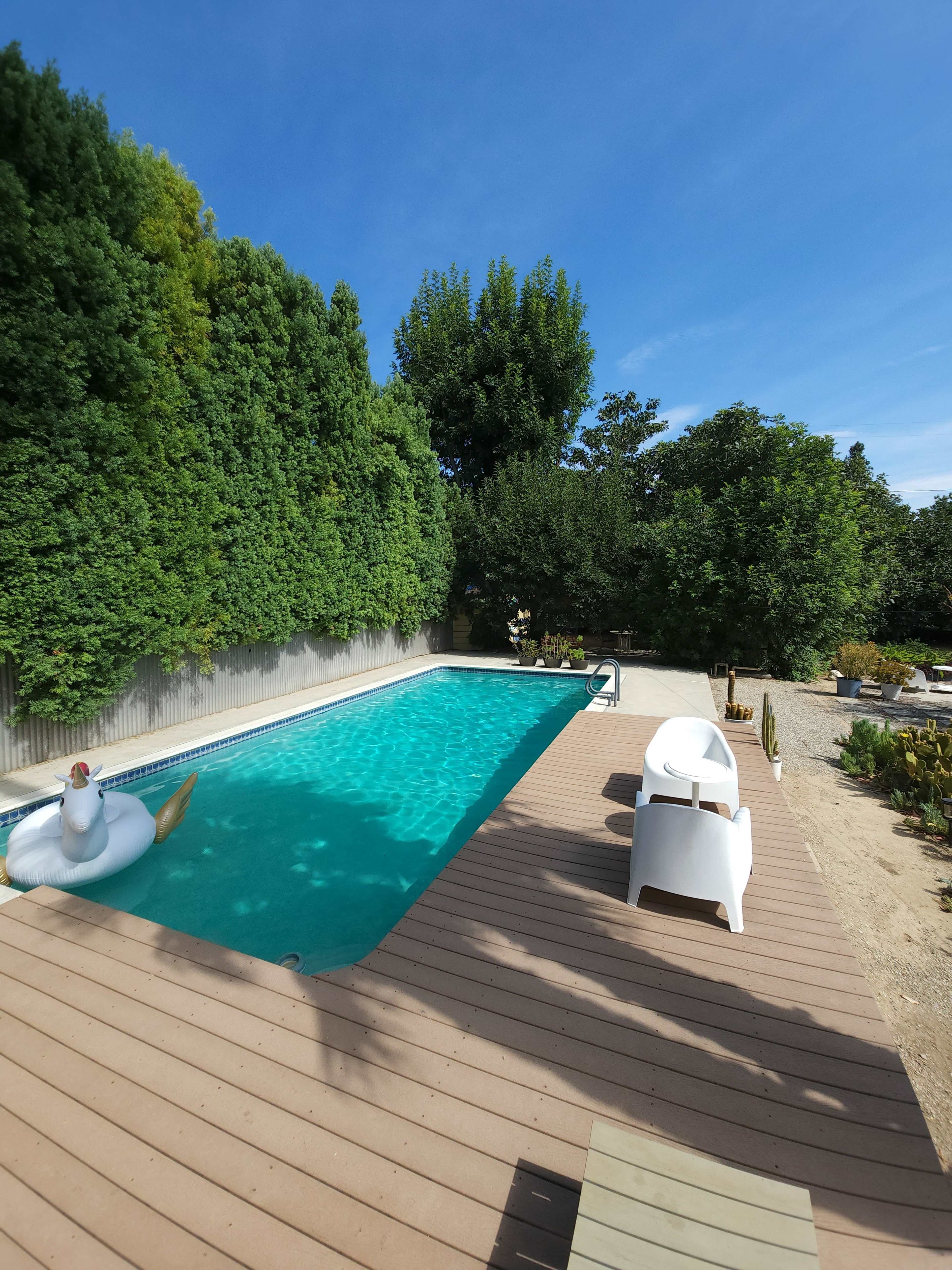 A swimming pool with a rubber duck float is surrounded by greenery and a wooden deck.