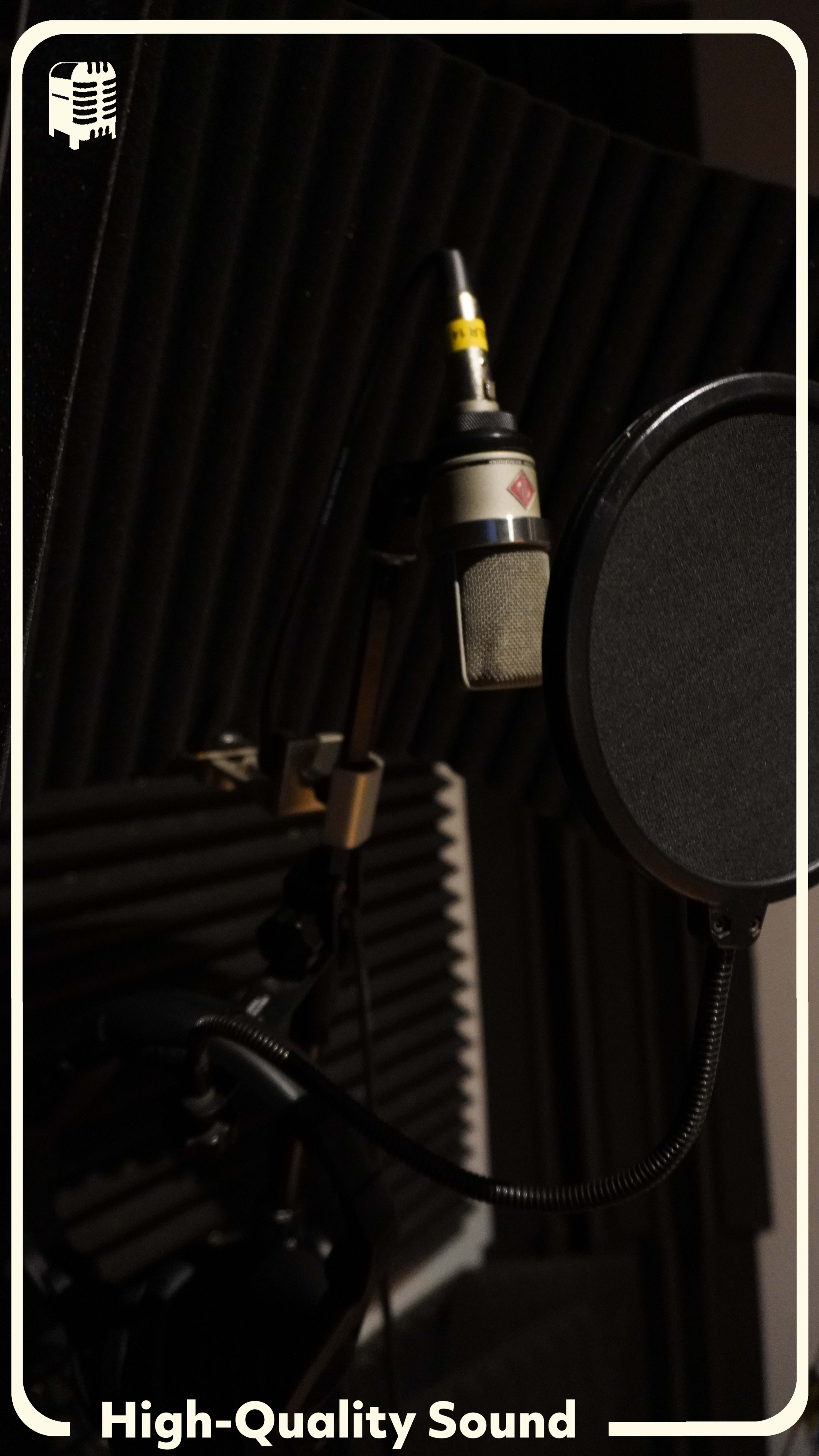 The image shows a microphone mounted on a stand in a recording booth with soundproofing panels in the background.