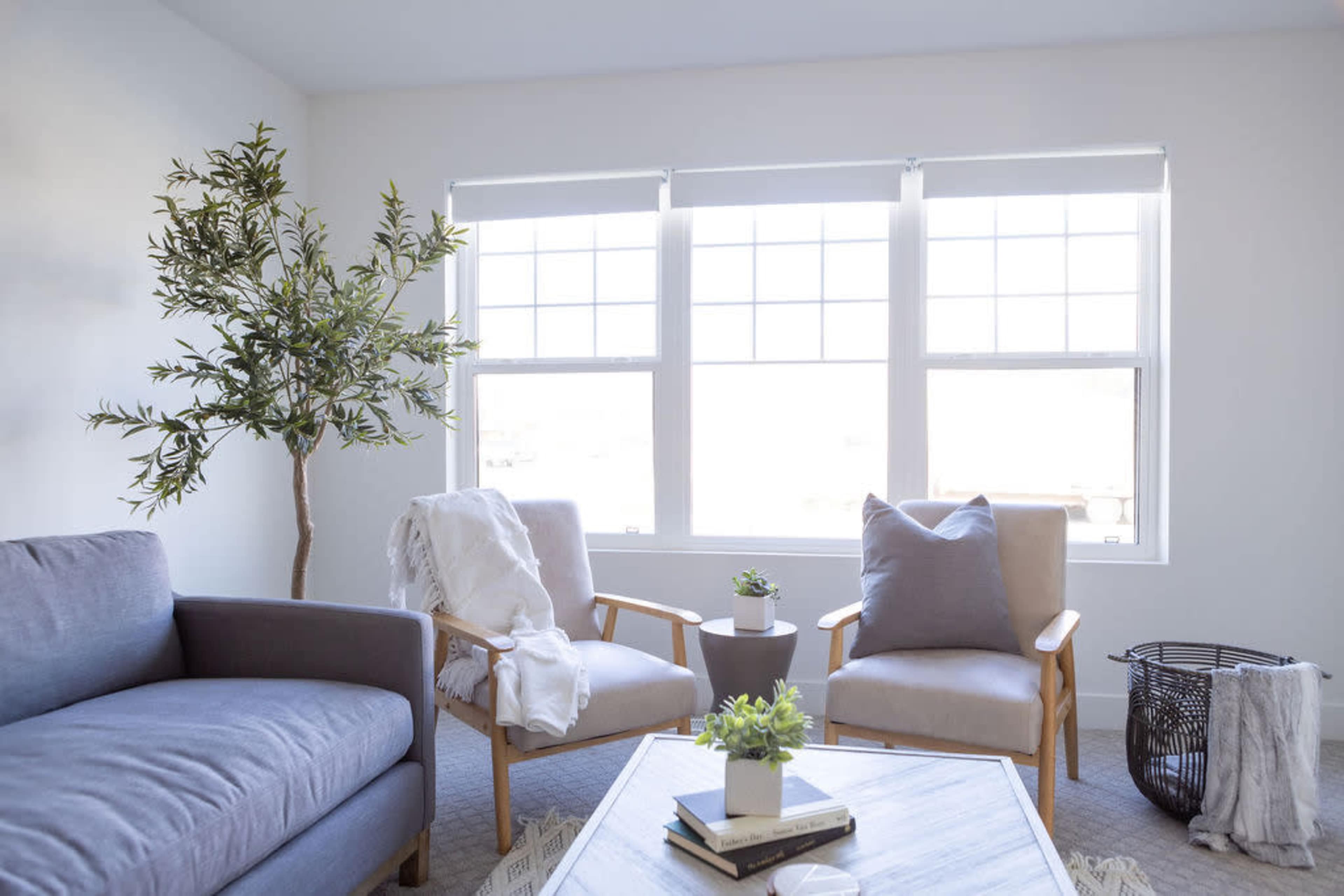 A cozy living room with a gray sofa, two wooden chairs, a decorative plant, and a coffee table under three large windows.