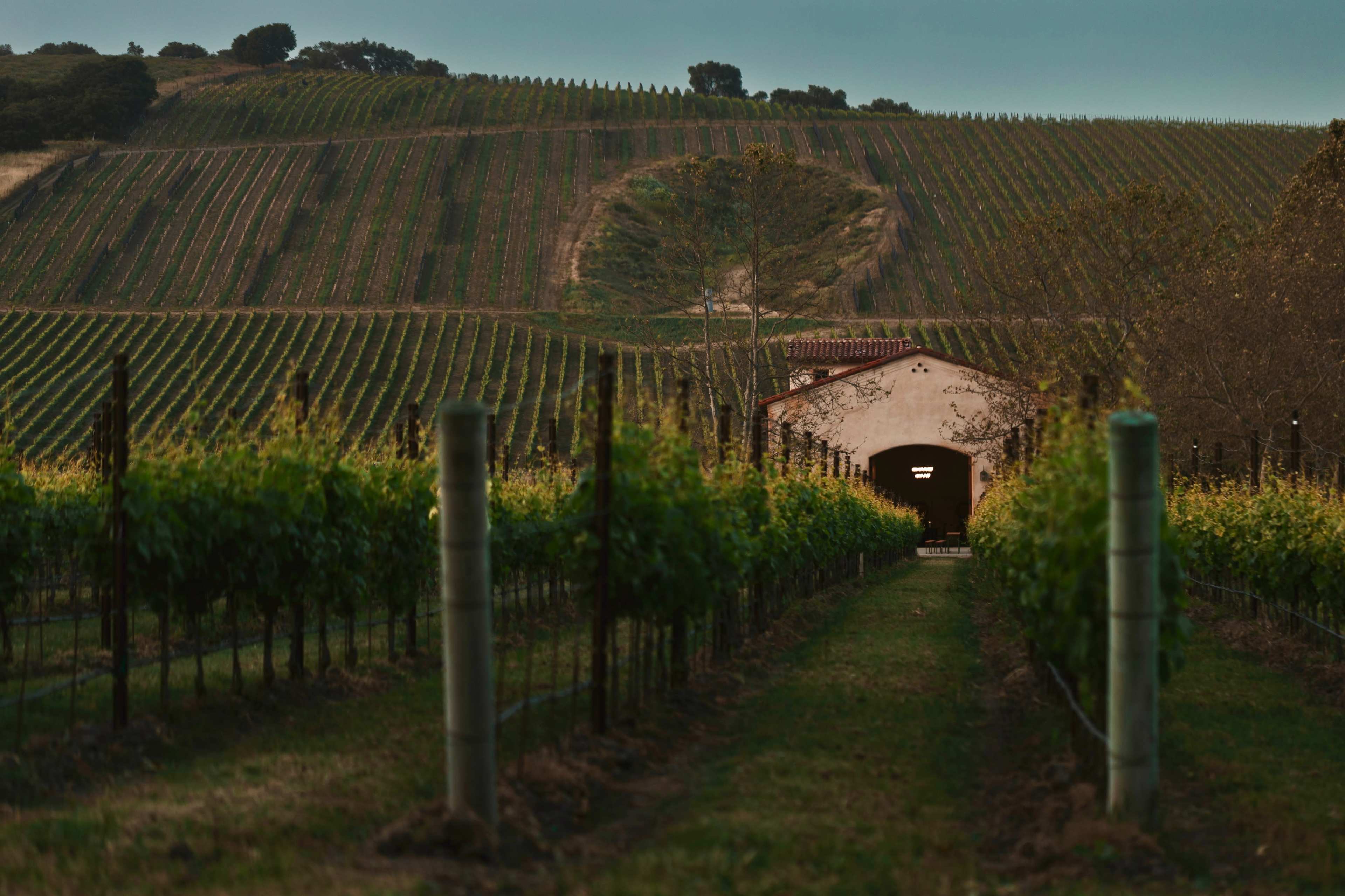 Slay Estate — Wine, Views, and Magic Image in , Lompoc, CA
