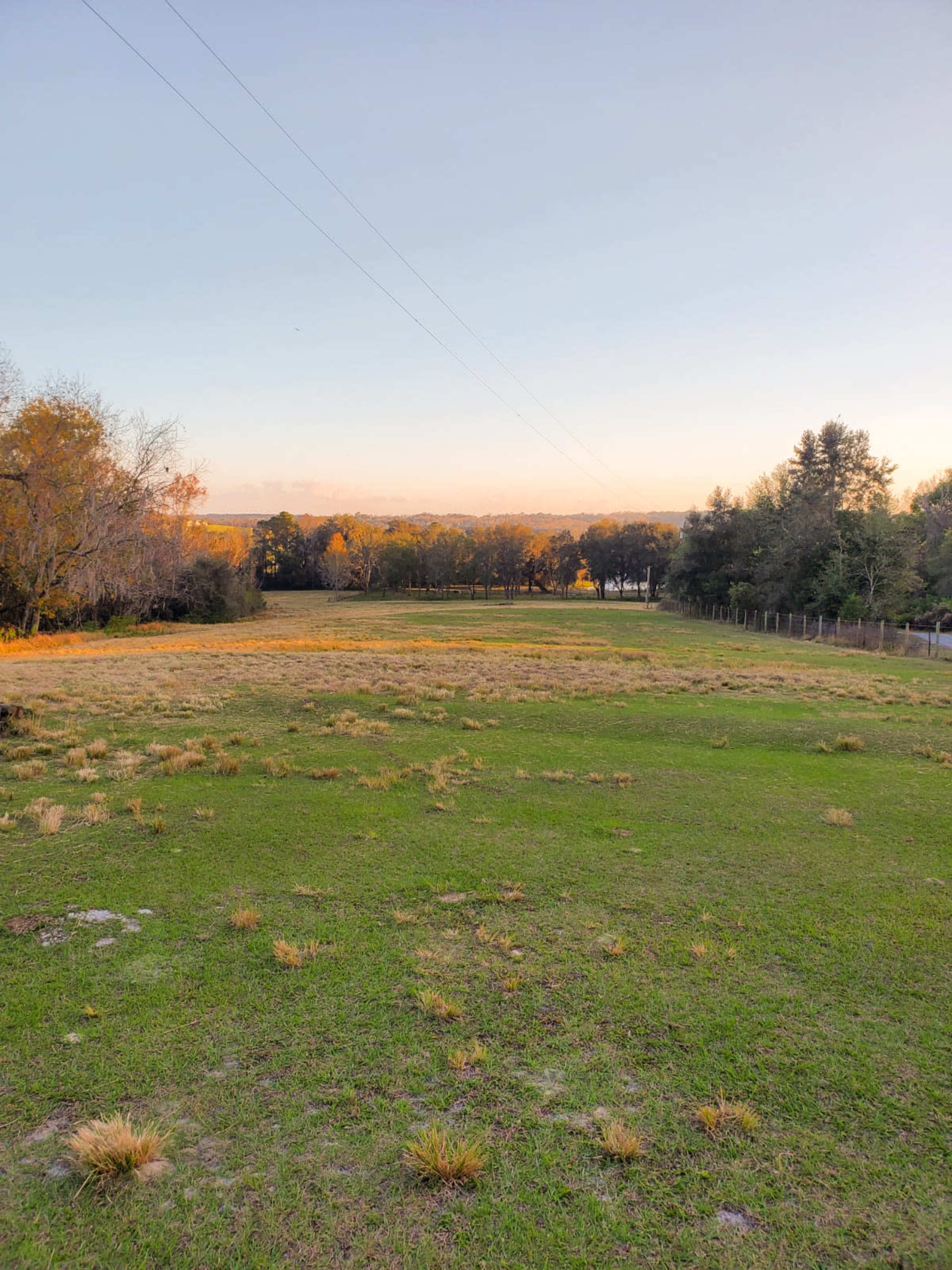 A grassy field bordered by trees under a clear sky.