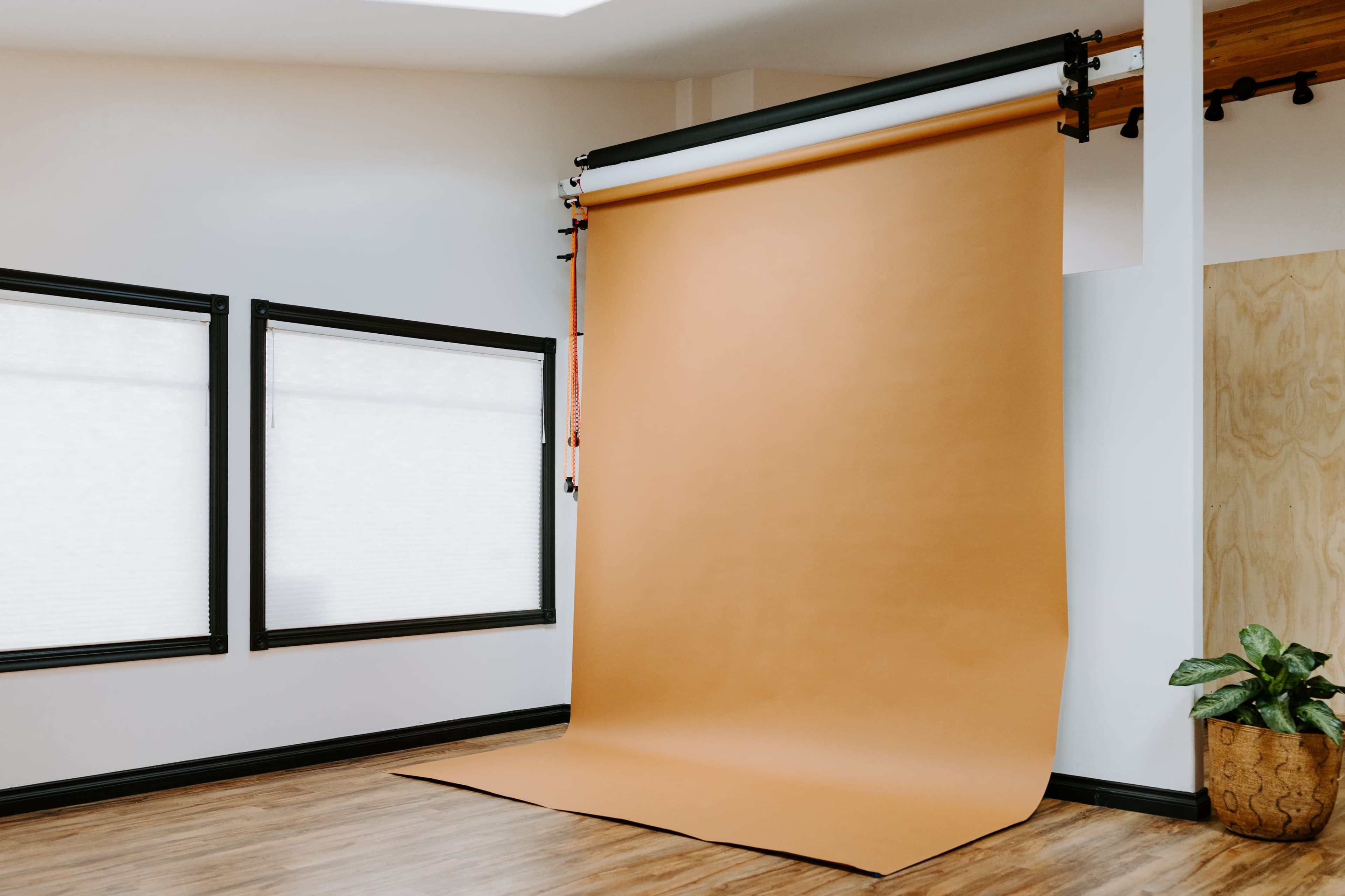 The image shows a photo studio with a large tan backdrop, two windows, and a potted plant in the corner.