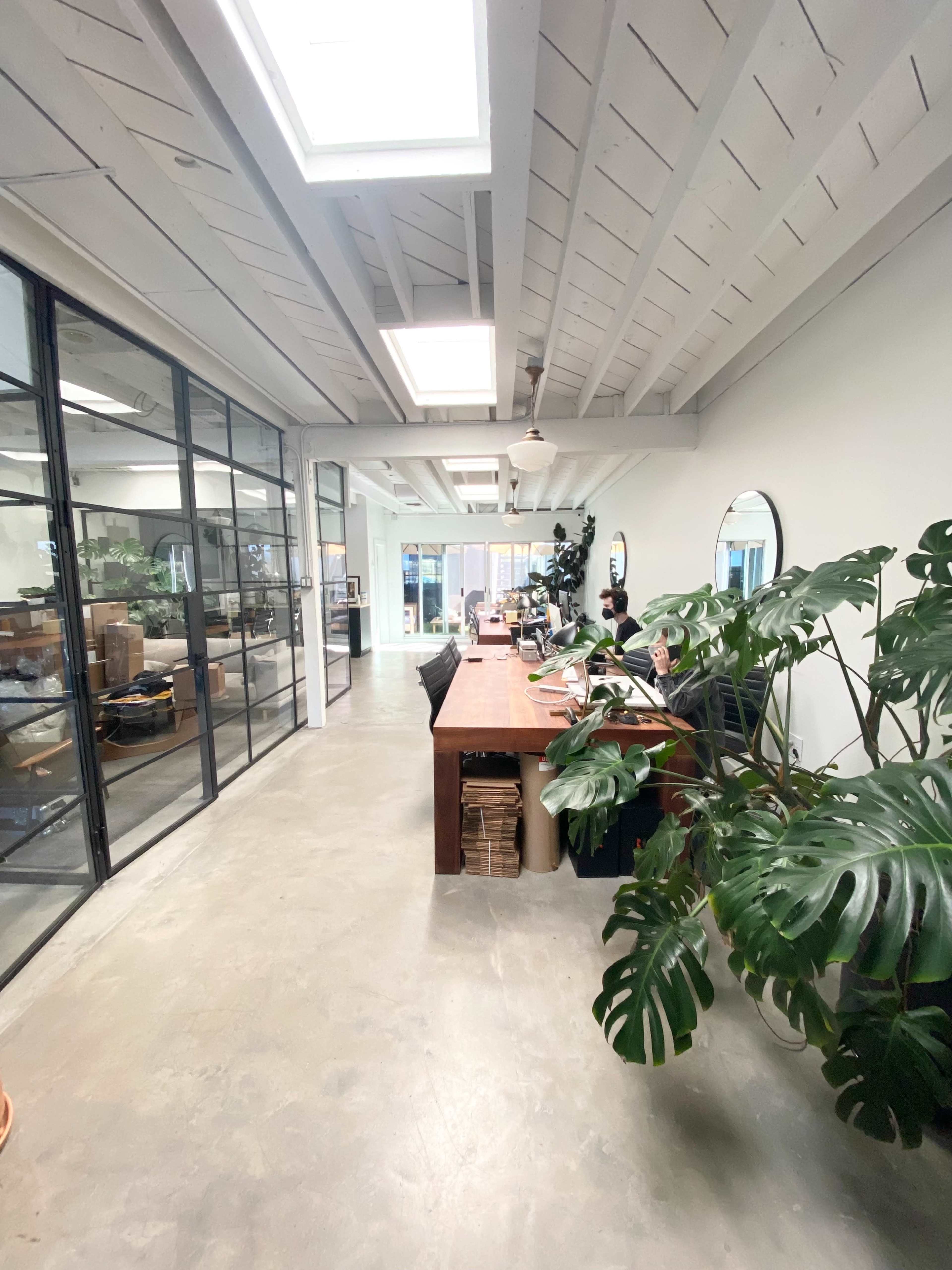 A modern office space features a long wooden desk, large windows, and potted plants along a concrete floor.