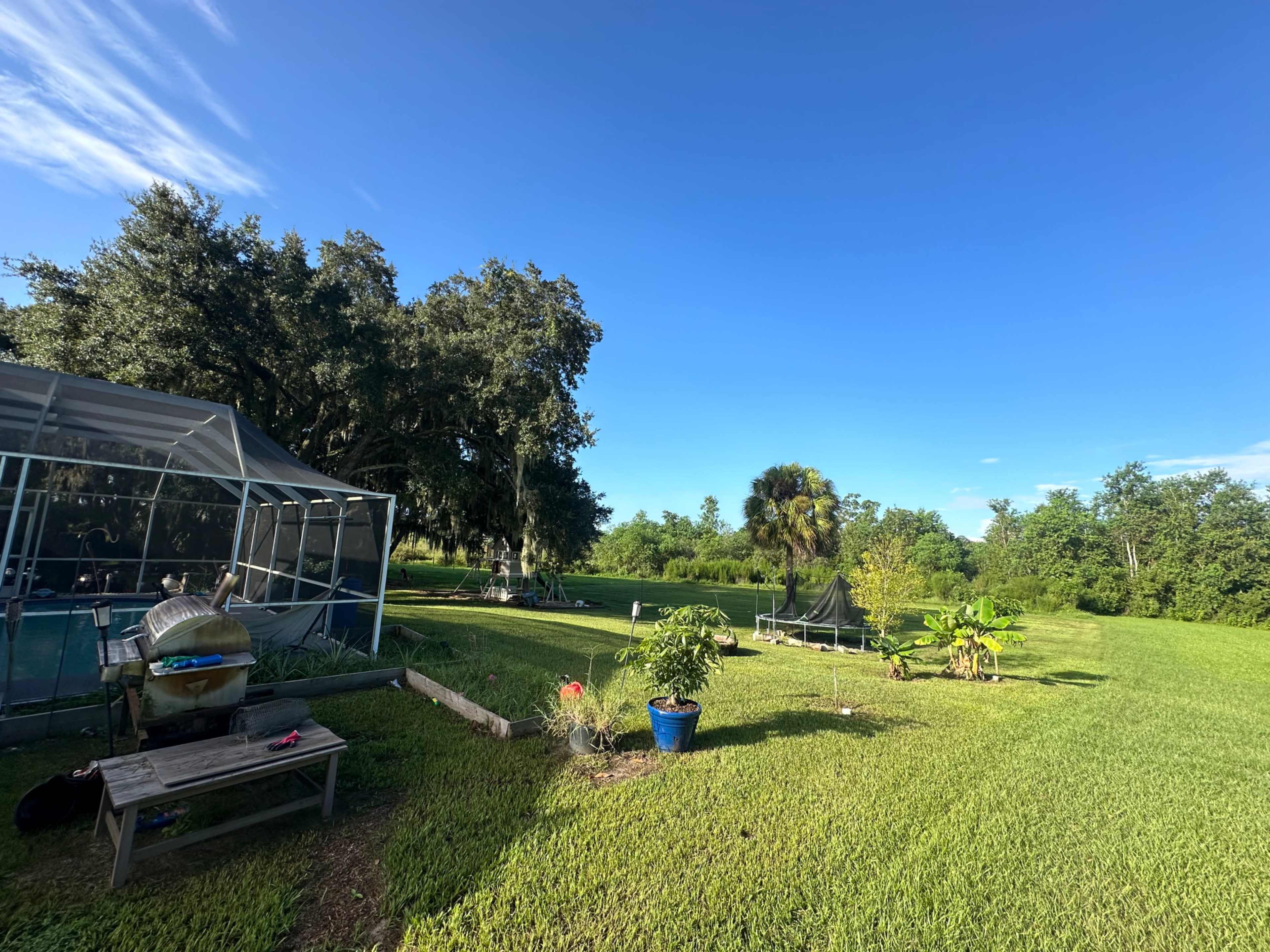 The image depicts a green lawn with a garden, a screen enclosure, and a variety of plants in pots and on the ground under a clear blue sky.