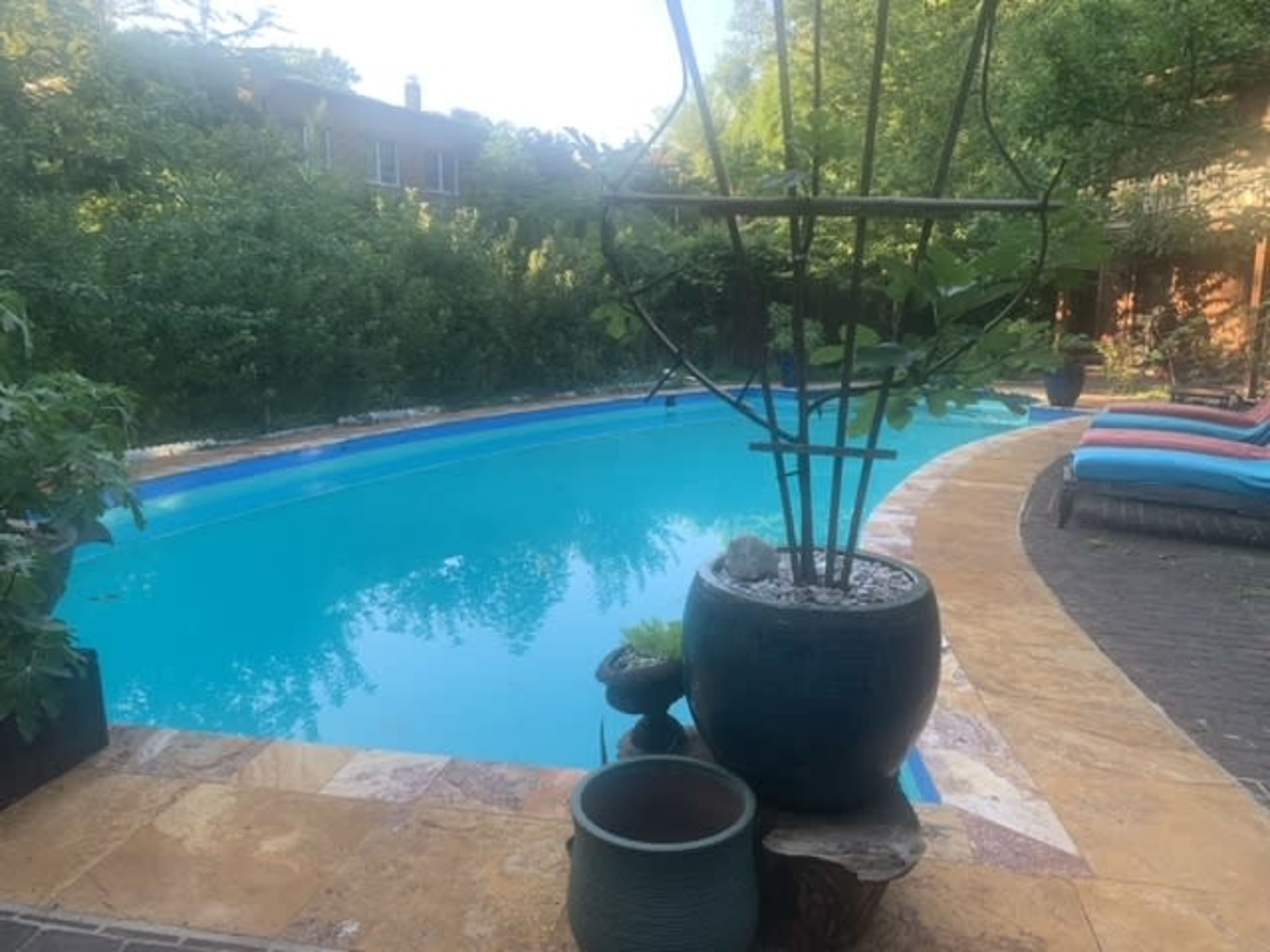 A swimming pool surrounded by landscaped greenery and decorative planters.