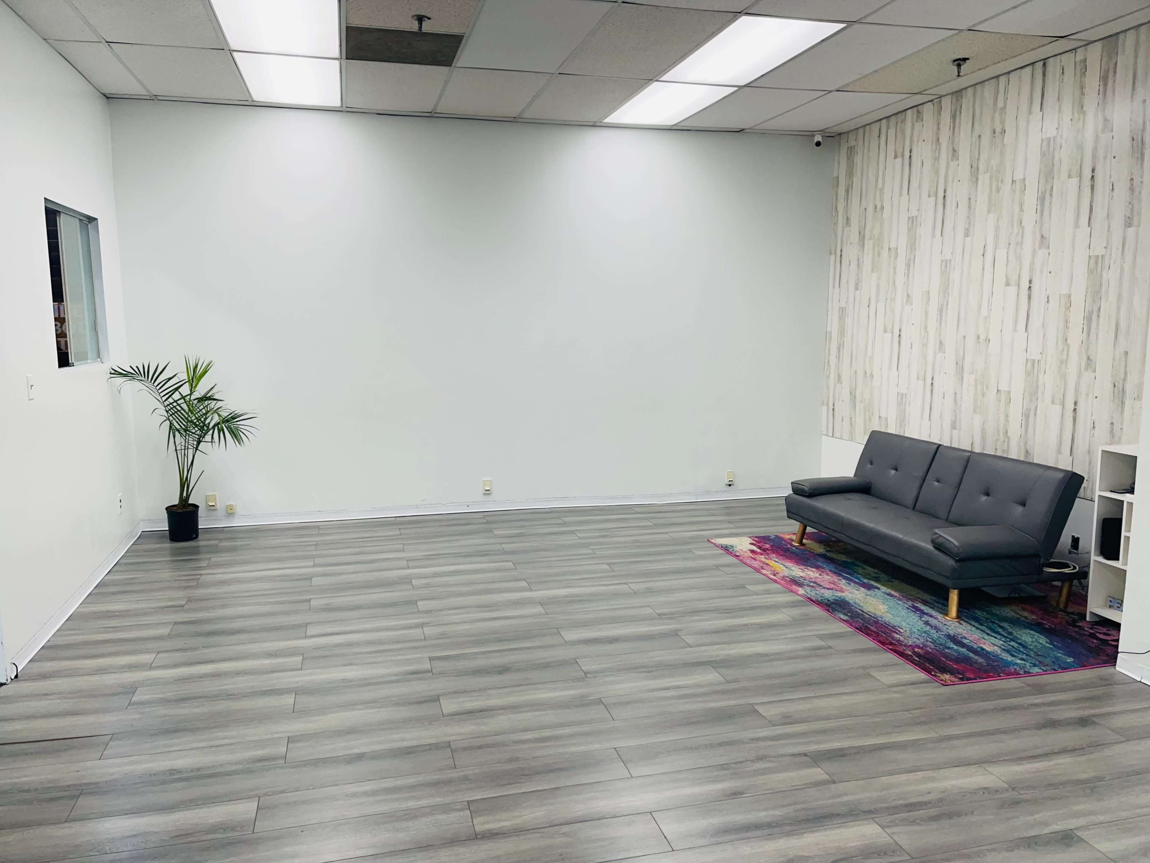 The image shows a spacious, empty room featuring a gray sofa, a colorful rug, and a potted plant against a white wall.