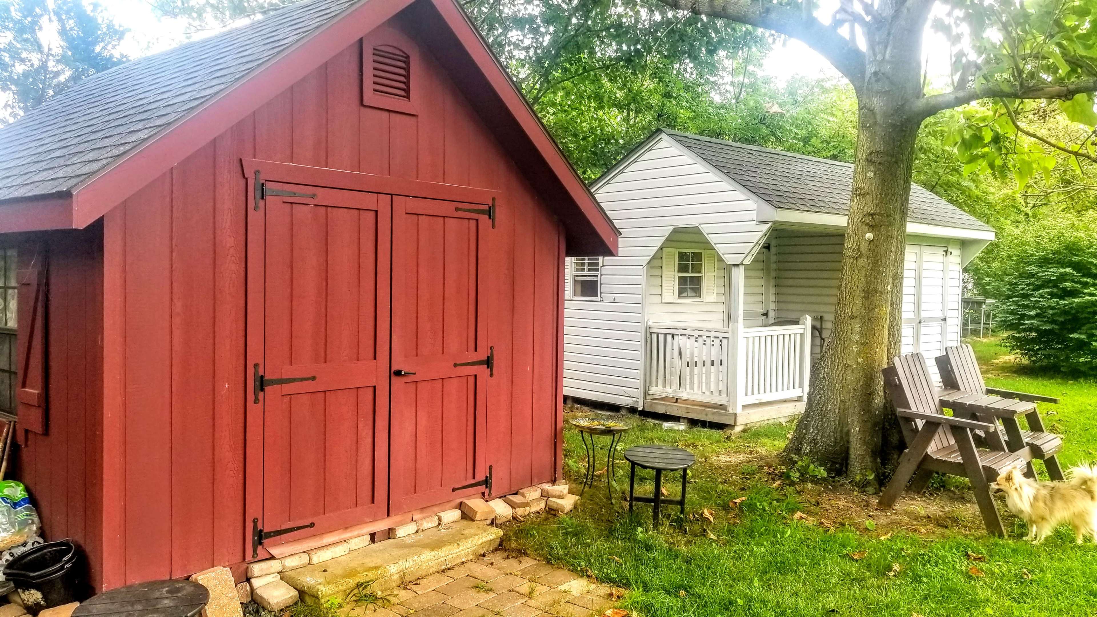 The image shows a red shed and a light gray cottage in a backyard, along with two wooden chairs and a dog in the grass.