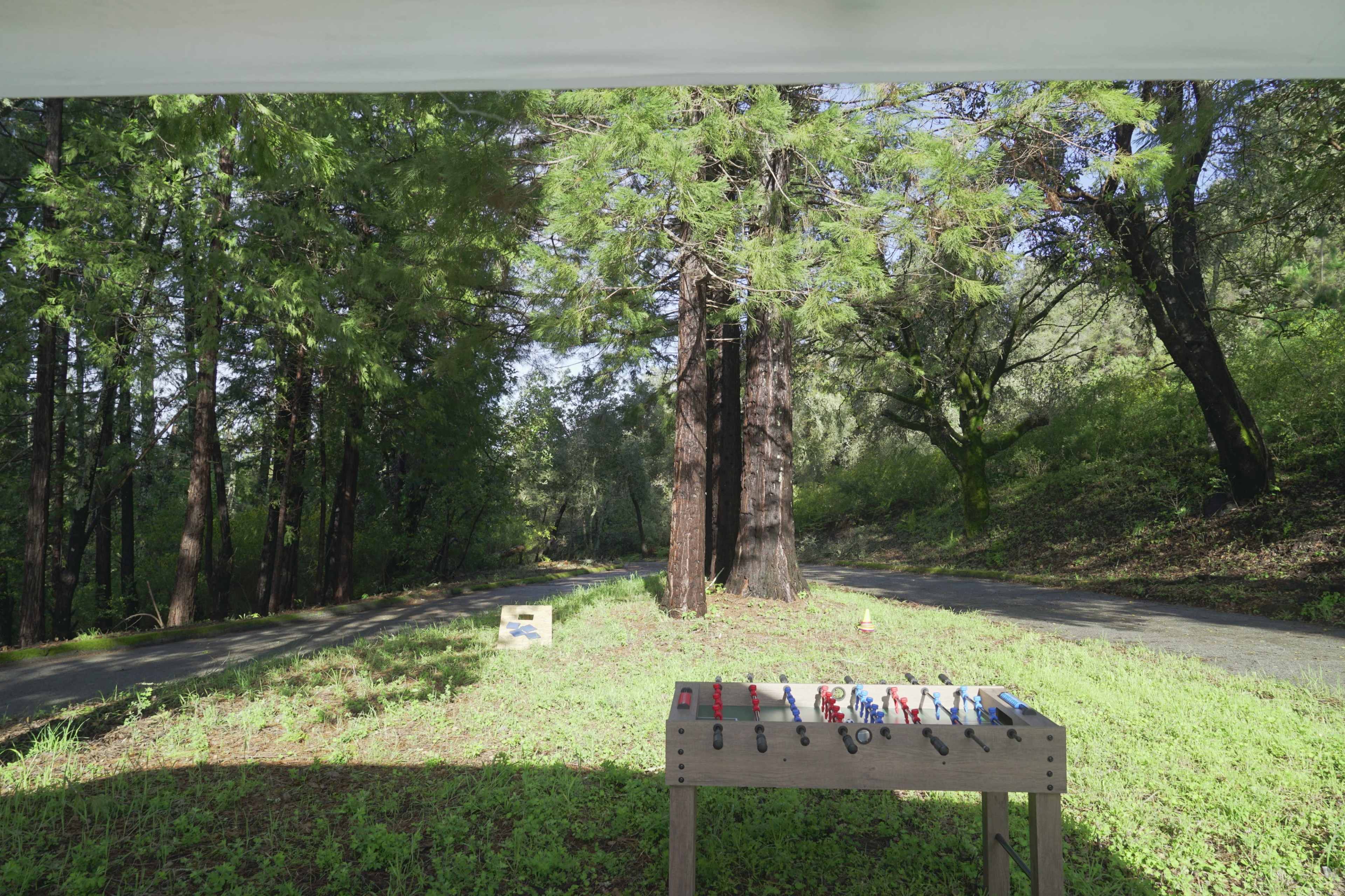 A wooden table with colorful tools is situated in a forested area next to a dirt road lined with tall trees.