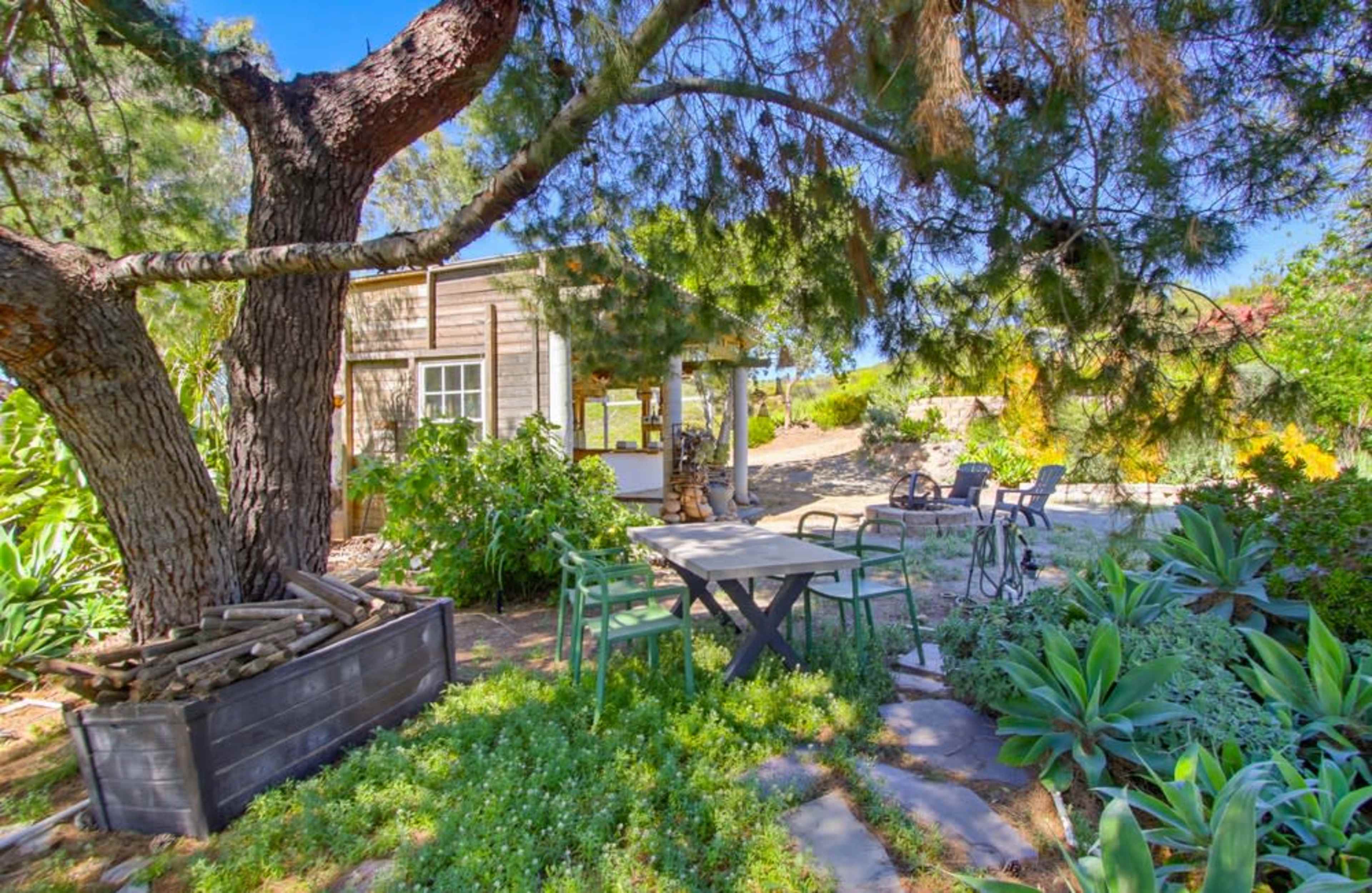 A shaded outdoor seating area with a table and chairs is situated beside a wooden structure and surrounded by green plants and a large tree.