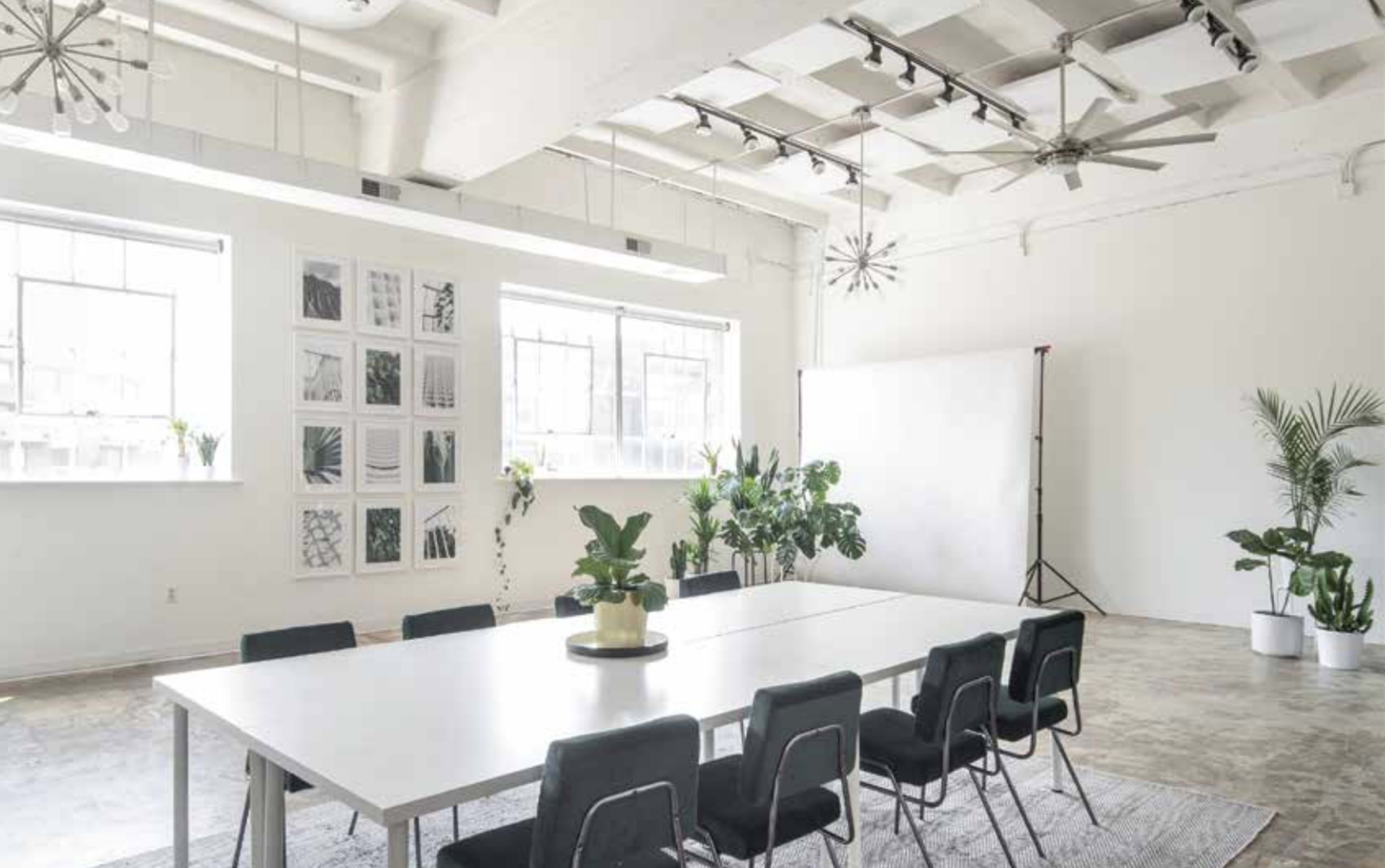 A spacious and well-lit meeting room features a long white table surrounded by black chairs, with plants and framed artwork on the walls.