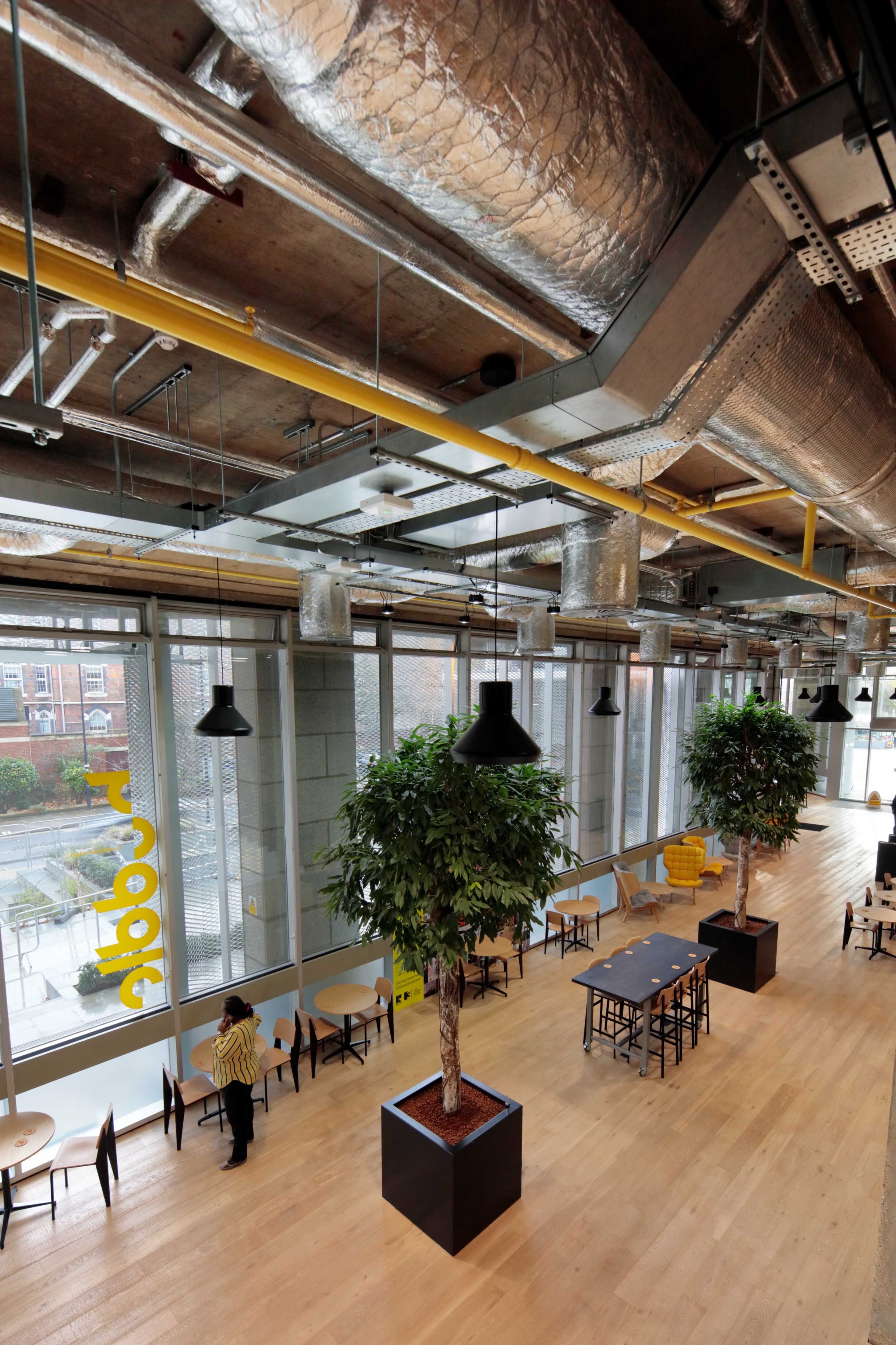 A modern indoor space featuring large windows, wooden flooring, and several potted trees, with seating arrangements and exposed ductwork overhead.