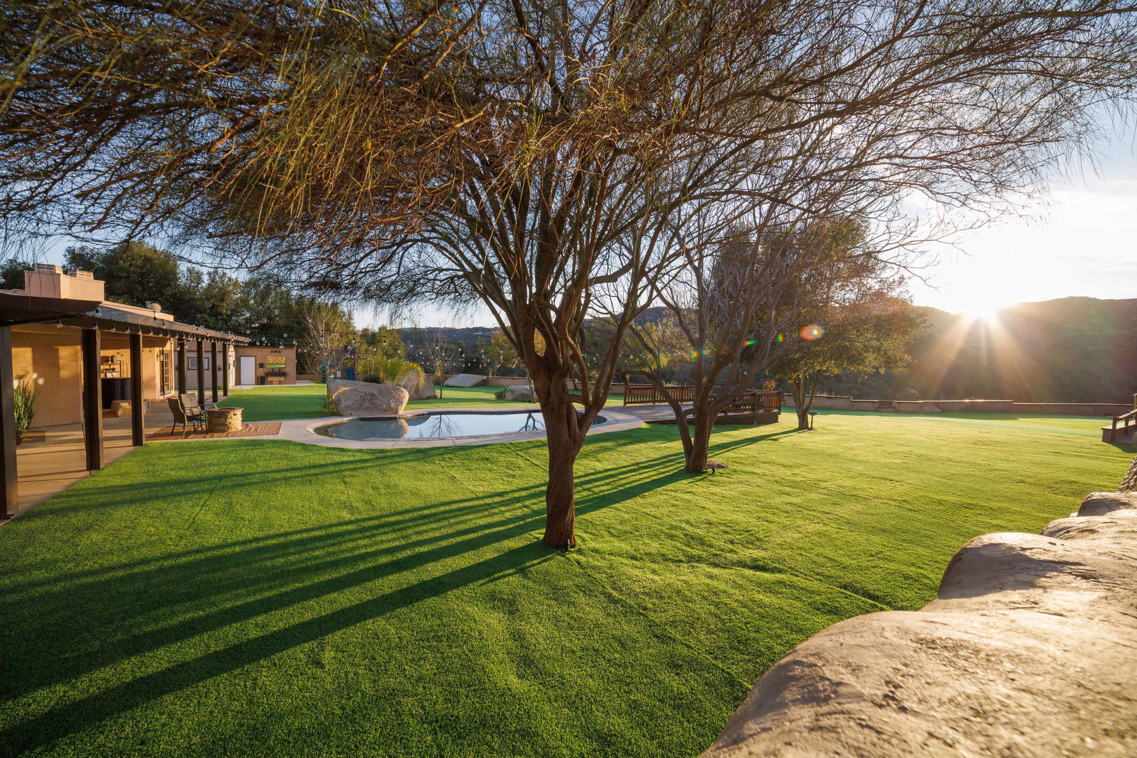 The image shows a landscaped yard with artificial turf, trees, and a pond, illuminated by the setting sun.