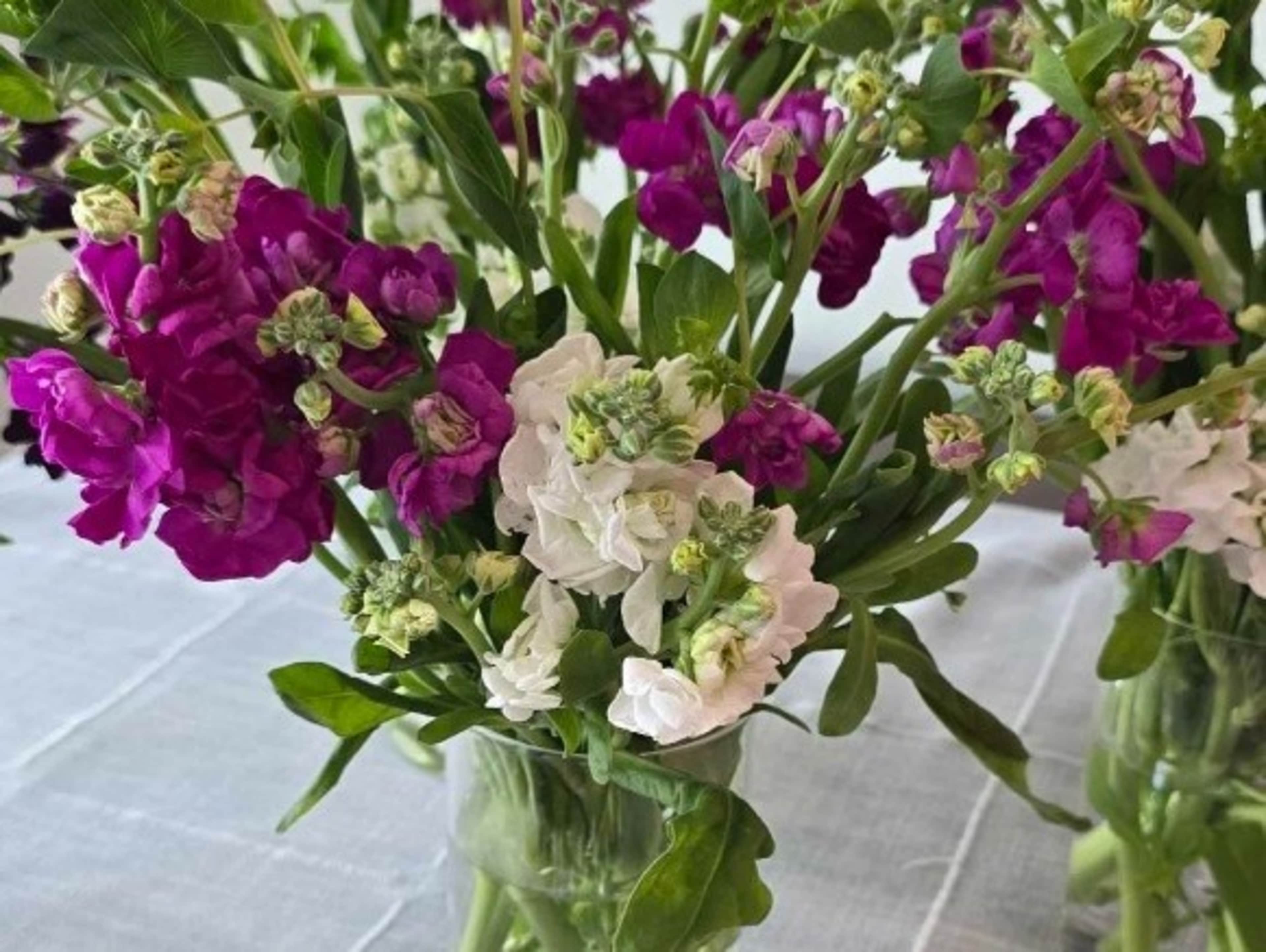 Flower Vases on Table