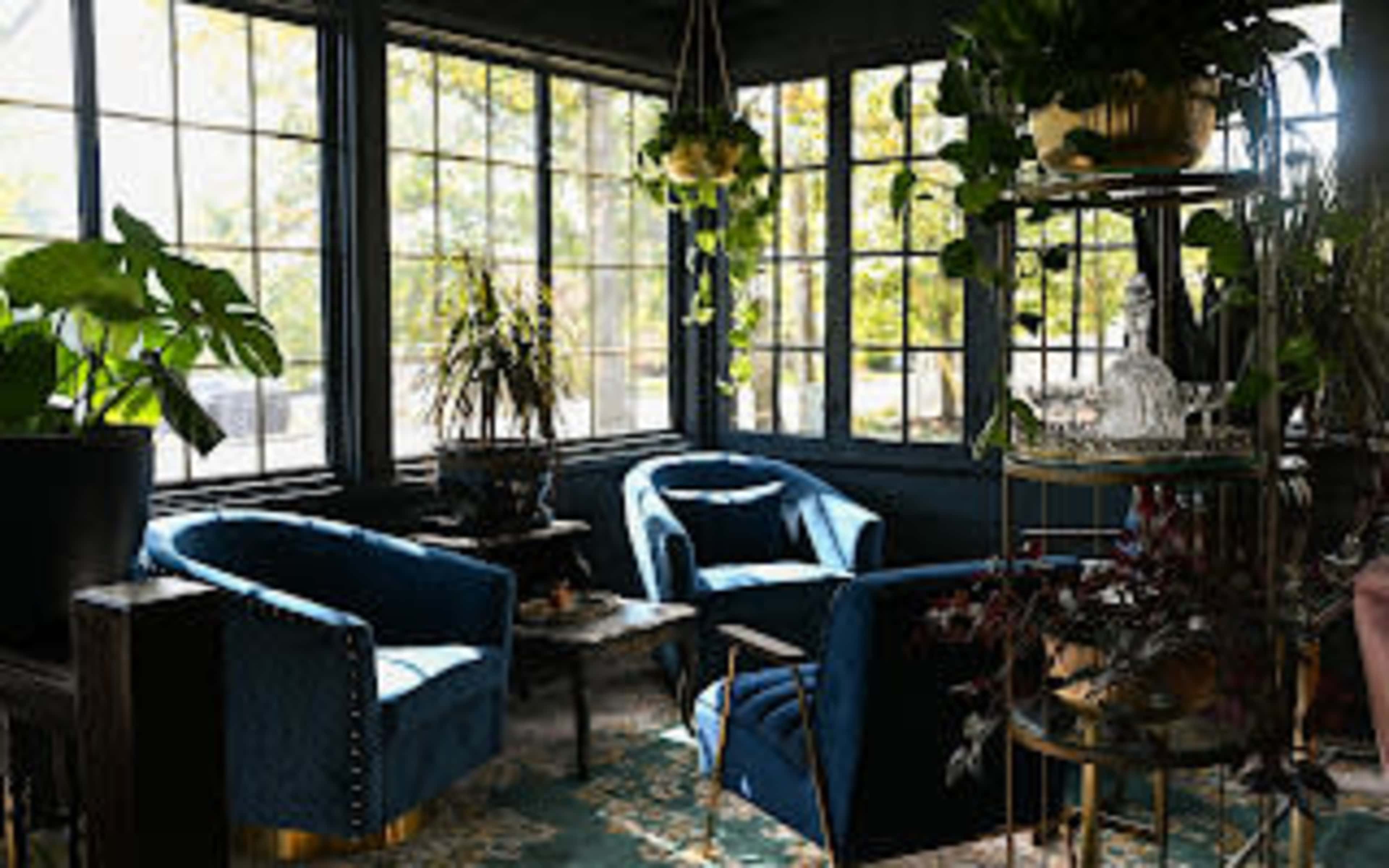 Luxe Social Club in historic downtown Powell with speak easy vibes Image in Liberty Township, Powell, OH